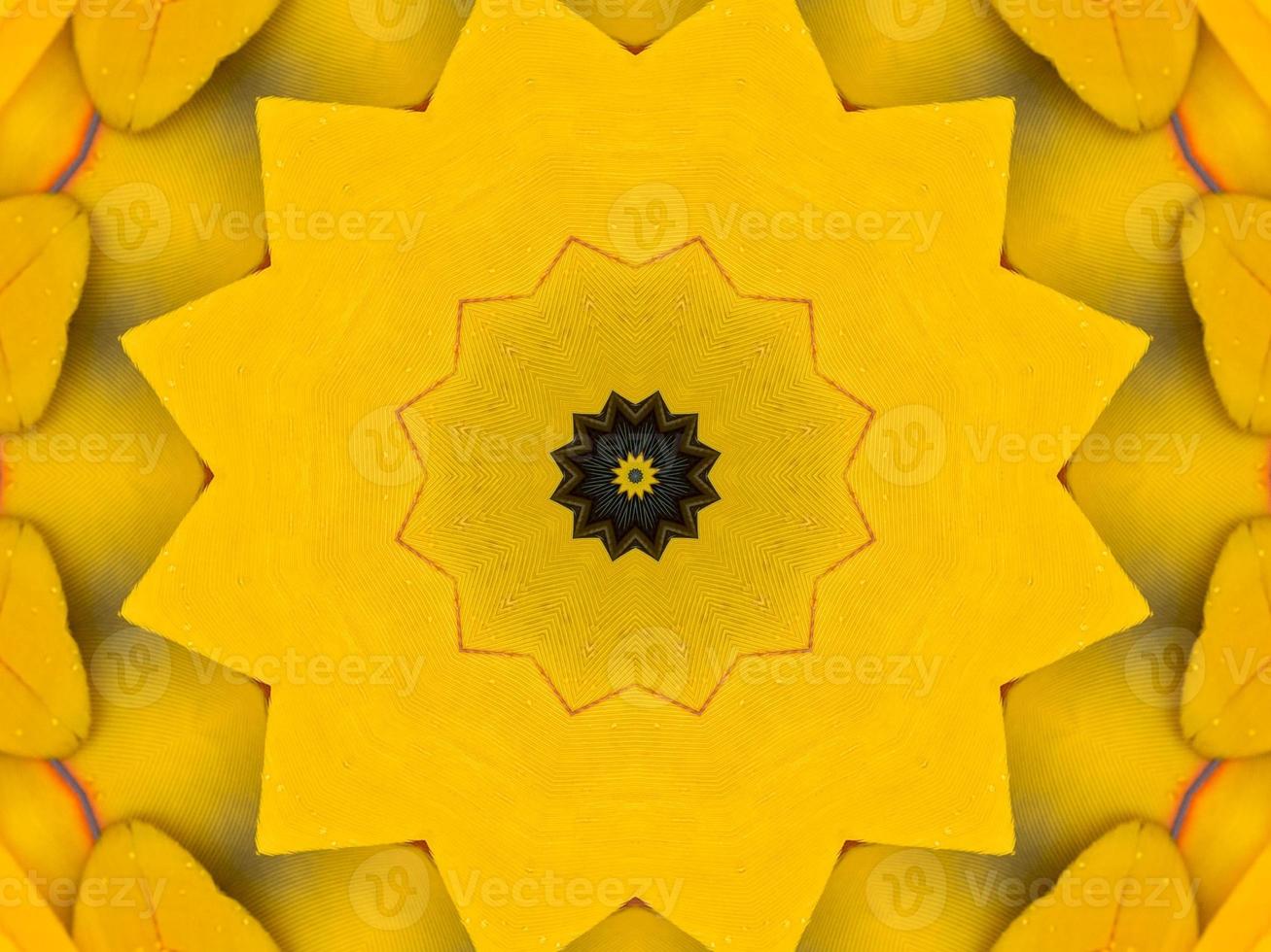 Yellow feather kaleidoscope floral pattern with some blue and red color. Abstract unique and aesthetic background. photo