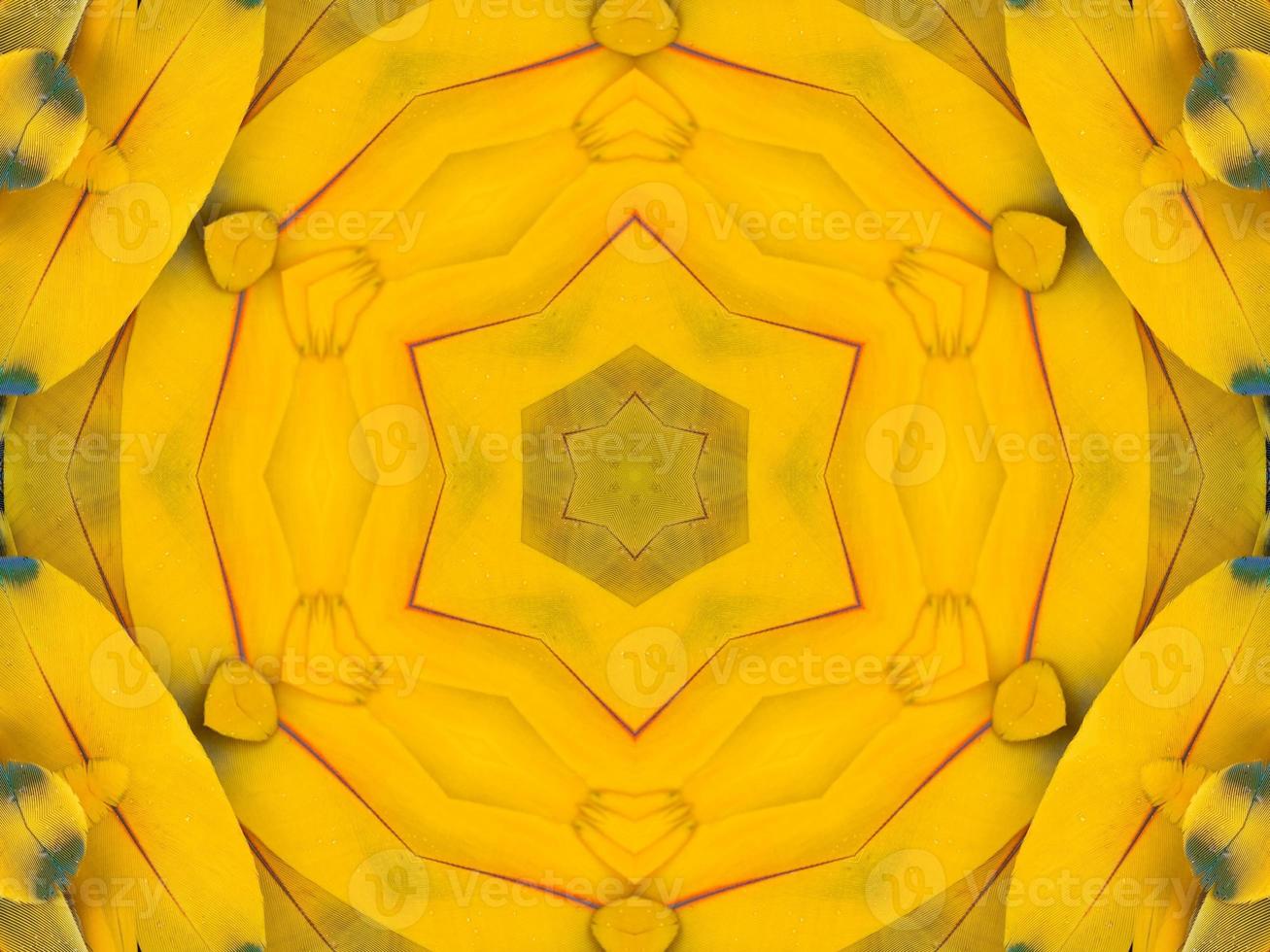Yellow feather kaleidoscope floral pattern with some blue and red color. Abstract unique and aesthetic background. photo