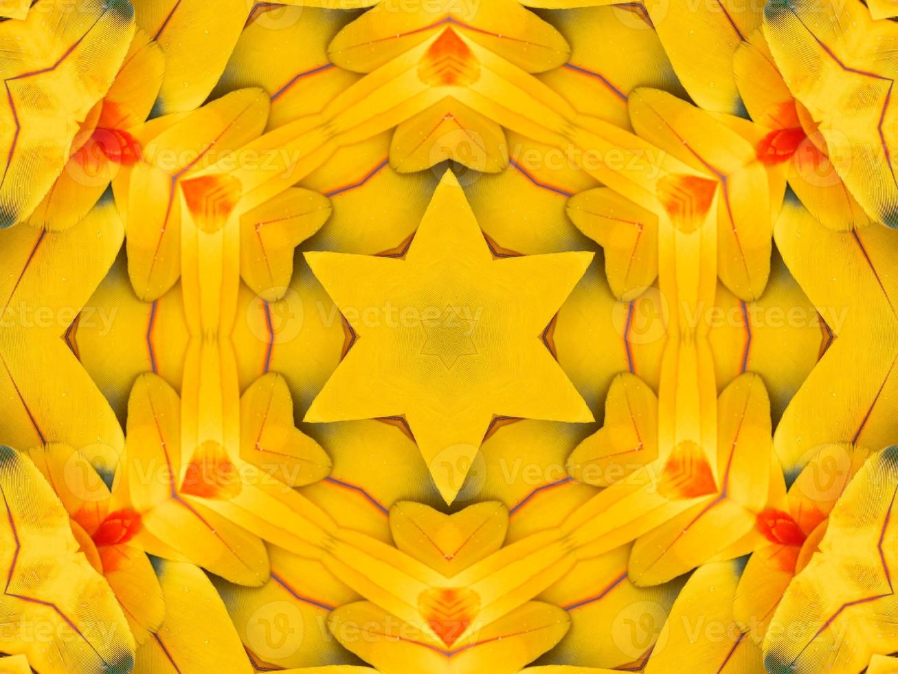 Yellow feather kaleidoscope floral pattern with some blue and red color. Abstract unique and aesthetic background. photo