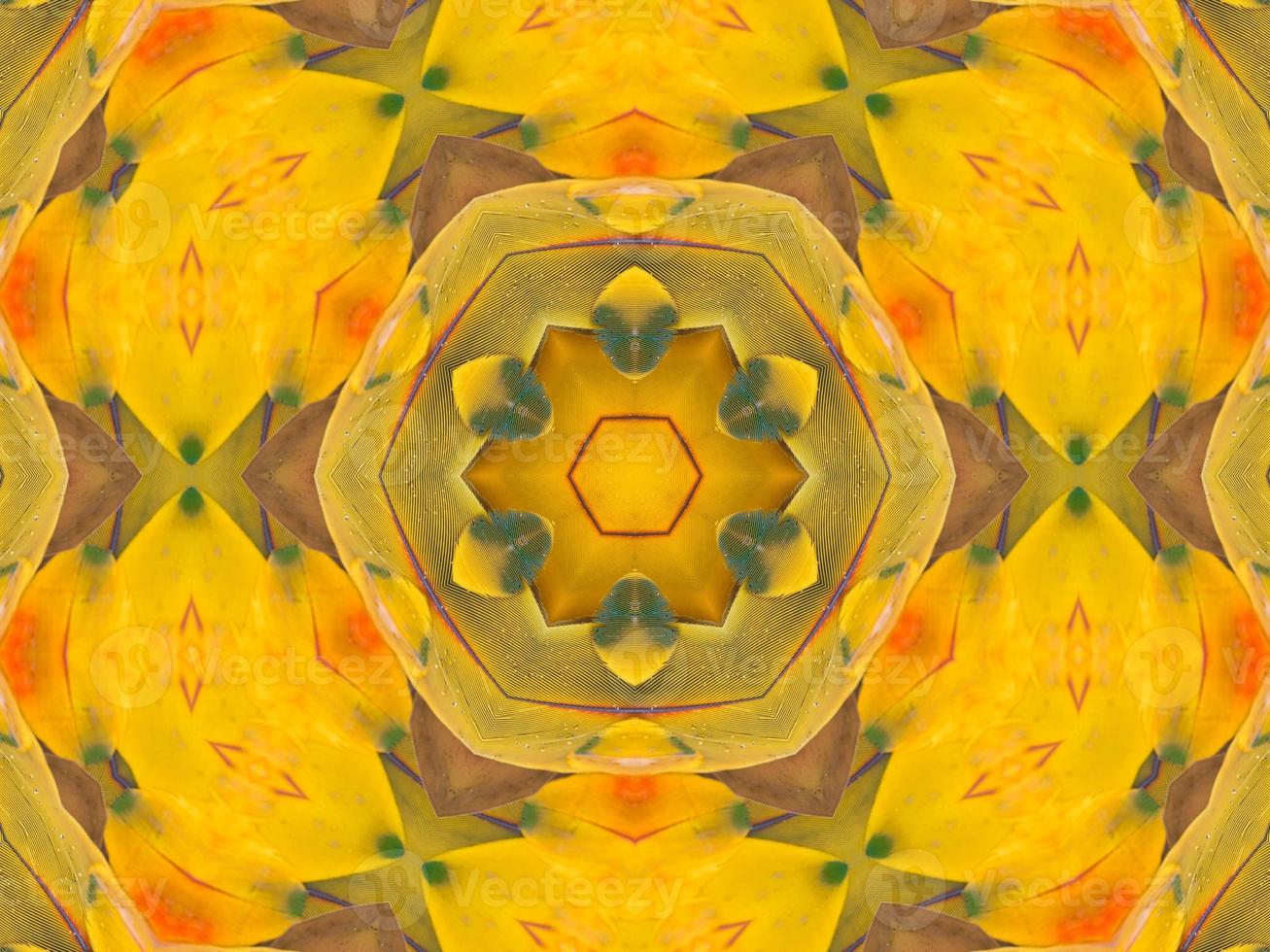 Yellow feather kaleidoscope floral pattern with some blue and red color. Abstract unique and aesthetic background. photo
