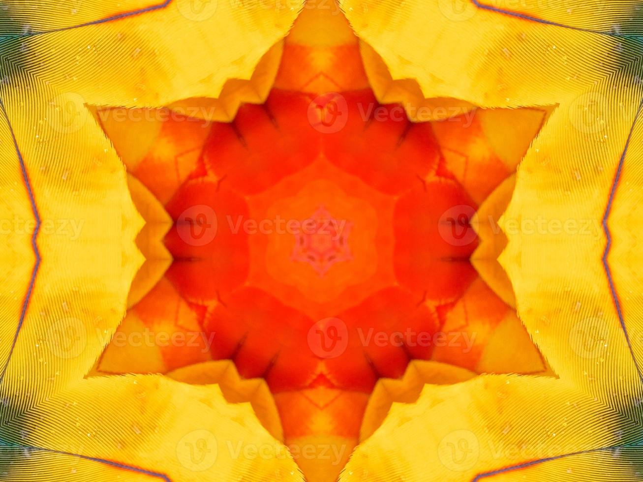 Yellow feather kaleidoscope floral pattern with some blue and red color. Abstract unique and aesthetic background. photo