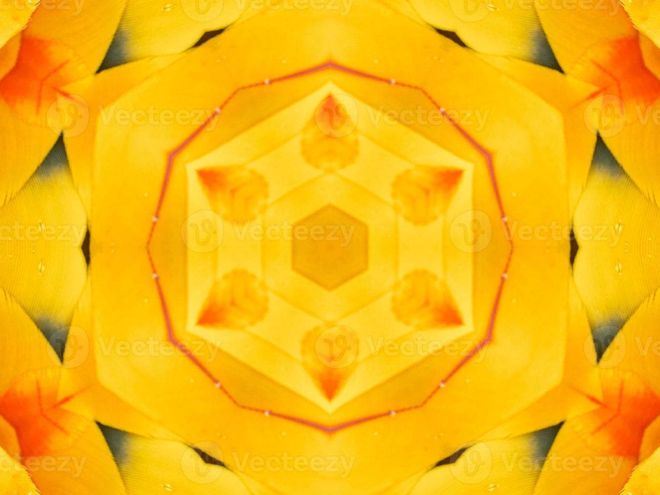 Yellow feather kaleidoscope floral pattern with some blue and red color. Abstract unique and aesthetic background. photo