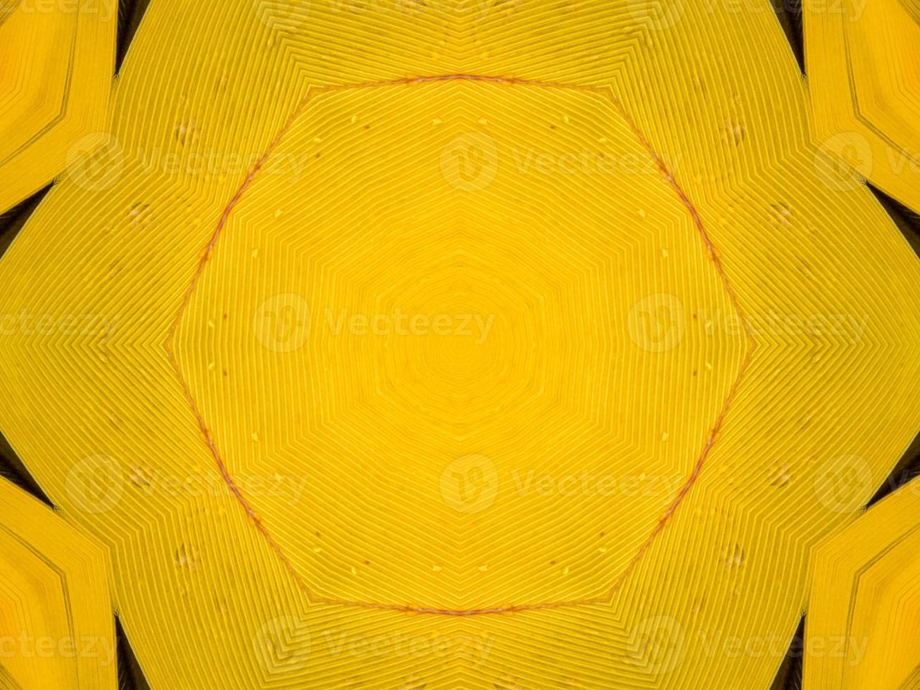 Yellow feather kaleidoscope floral pattern with some blue and red color. Abstract unique and aesthetic background. photo