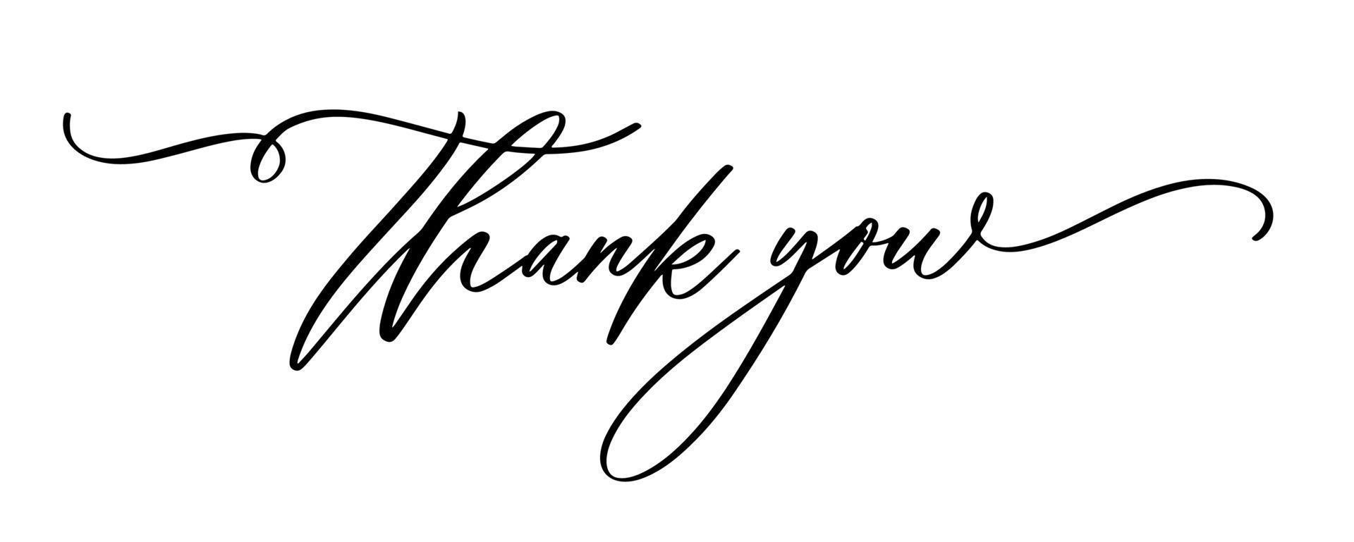 Thank you Hand drawn lettering. Calligraphic Lettering, Vector illustration.