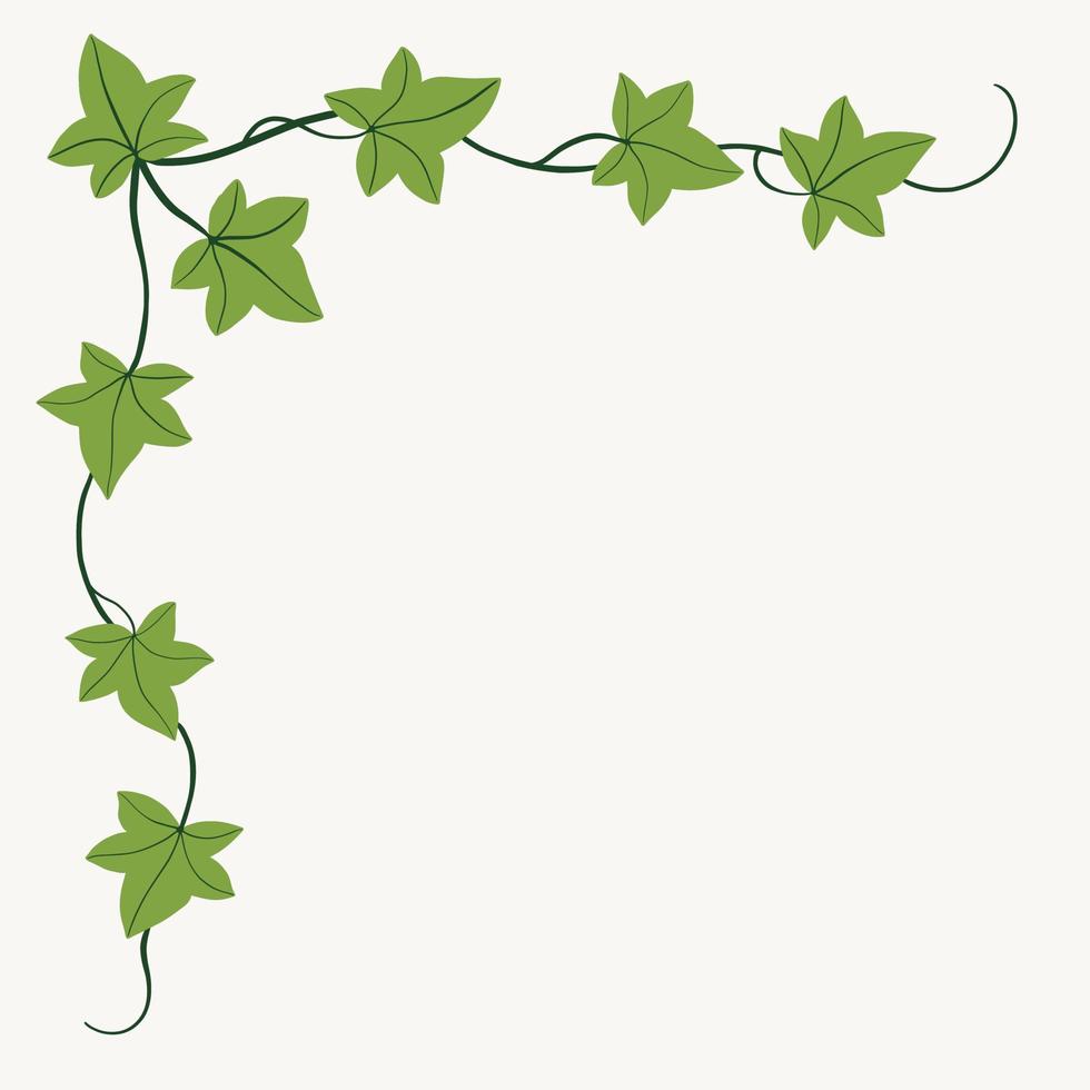 Floral ivy drawing decorative ornament flat design. vector