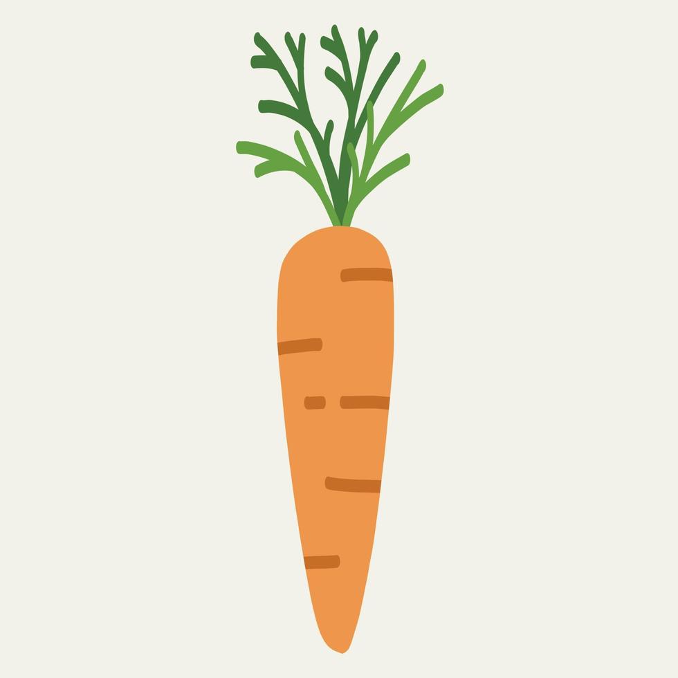 Dibujo de zanahoria a mano alzada. vector