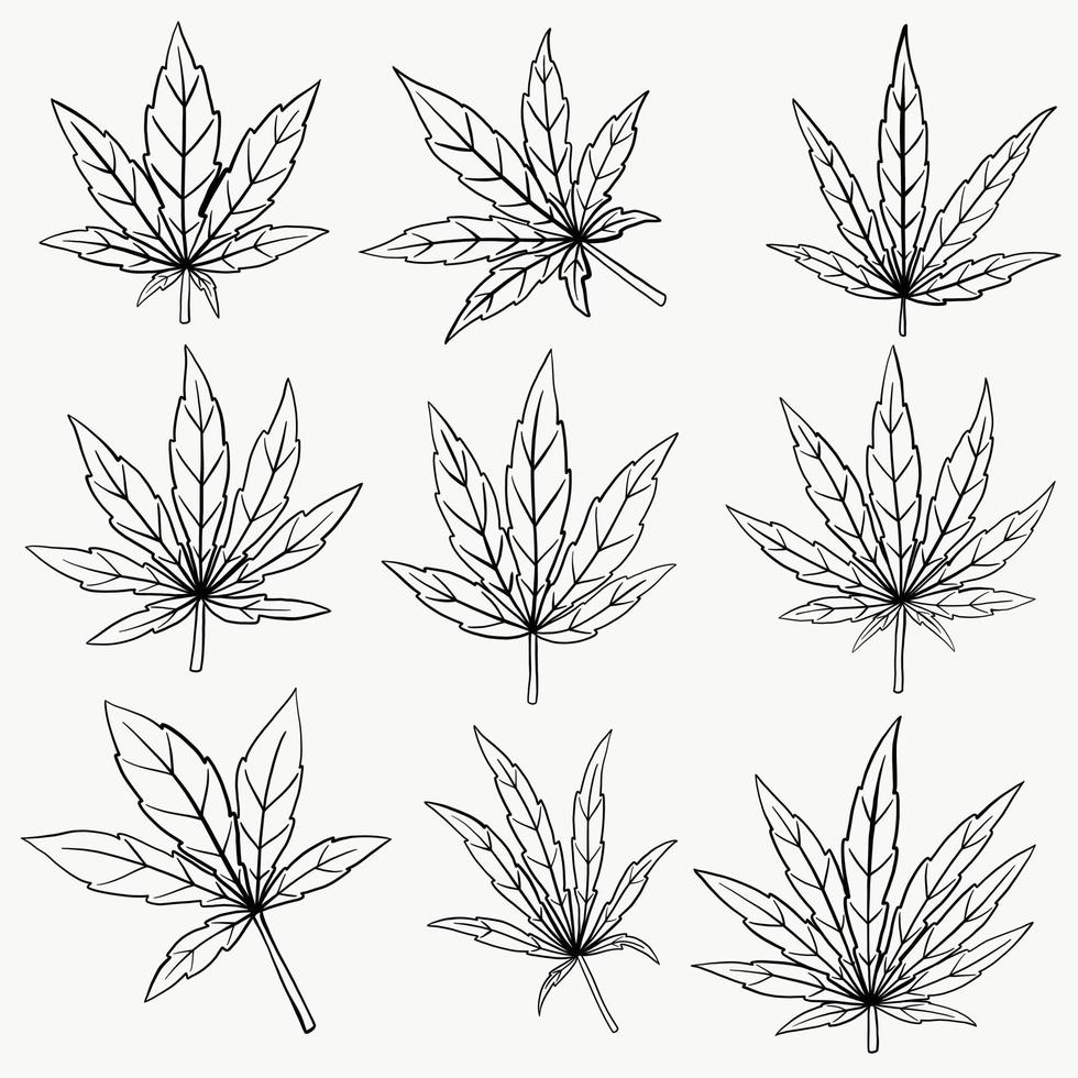 Cannabis leaf freehand drawing flat design. vector