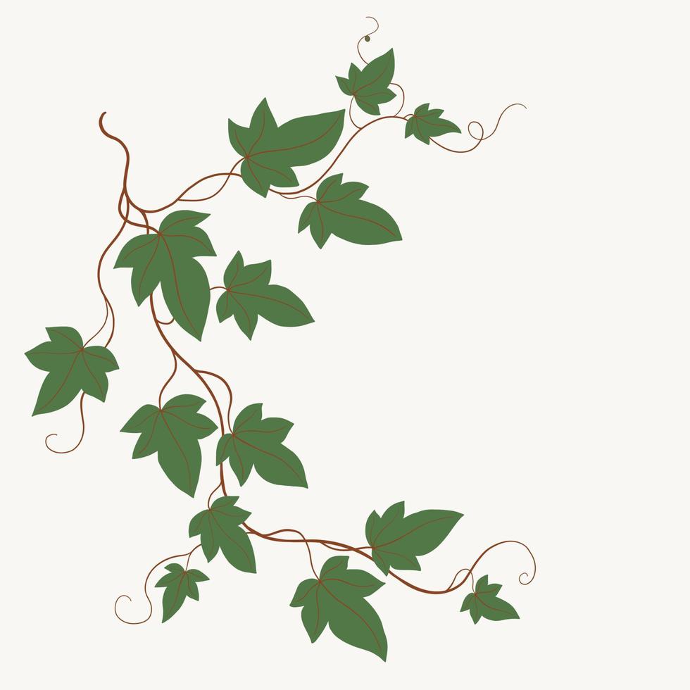 Floral ivy drawing decorative ornament flat design. vector