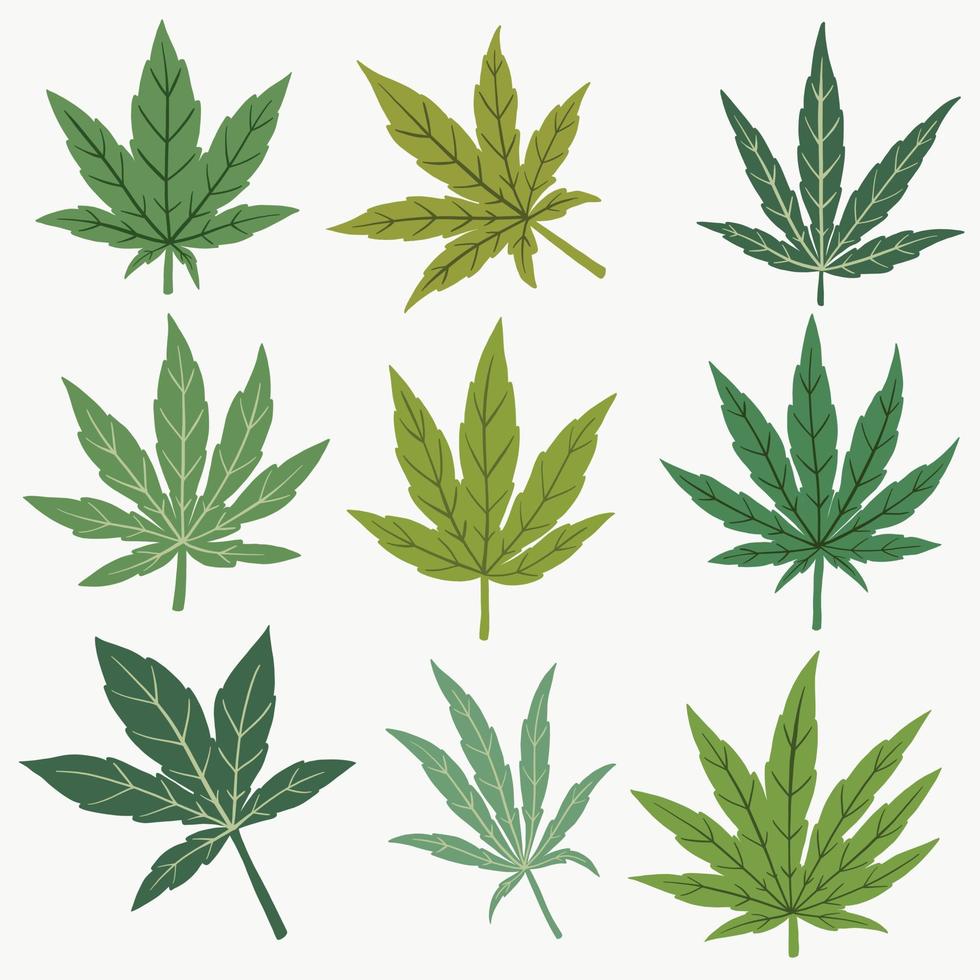 Cannabis leaf freehand drawing flat design. vector