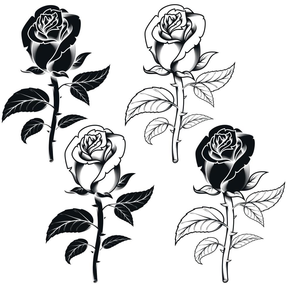 diseño de flores en blanco y negro vector