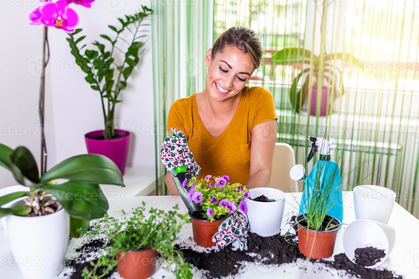 el ama de casa cambia el terreno por una planta. cuidar una planta en maceta. trabajar en casa. plantar una flor y limpieza de primavera. encantadora ama de casa con flor en maceta y juego de jardinería foto