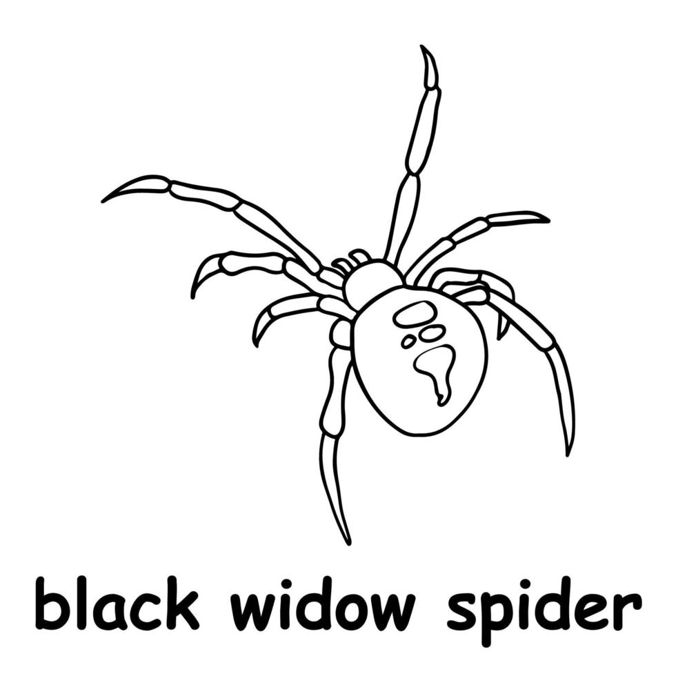 kids line illustration coloring black widow spider. animal outline 15630378  Vector Art at Vecteezy