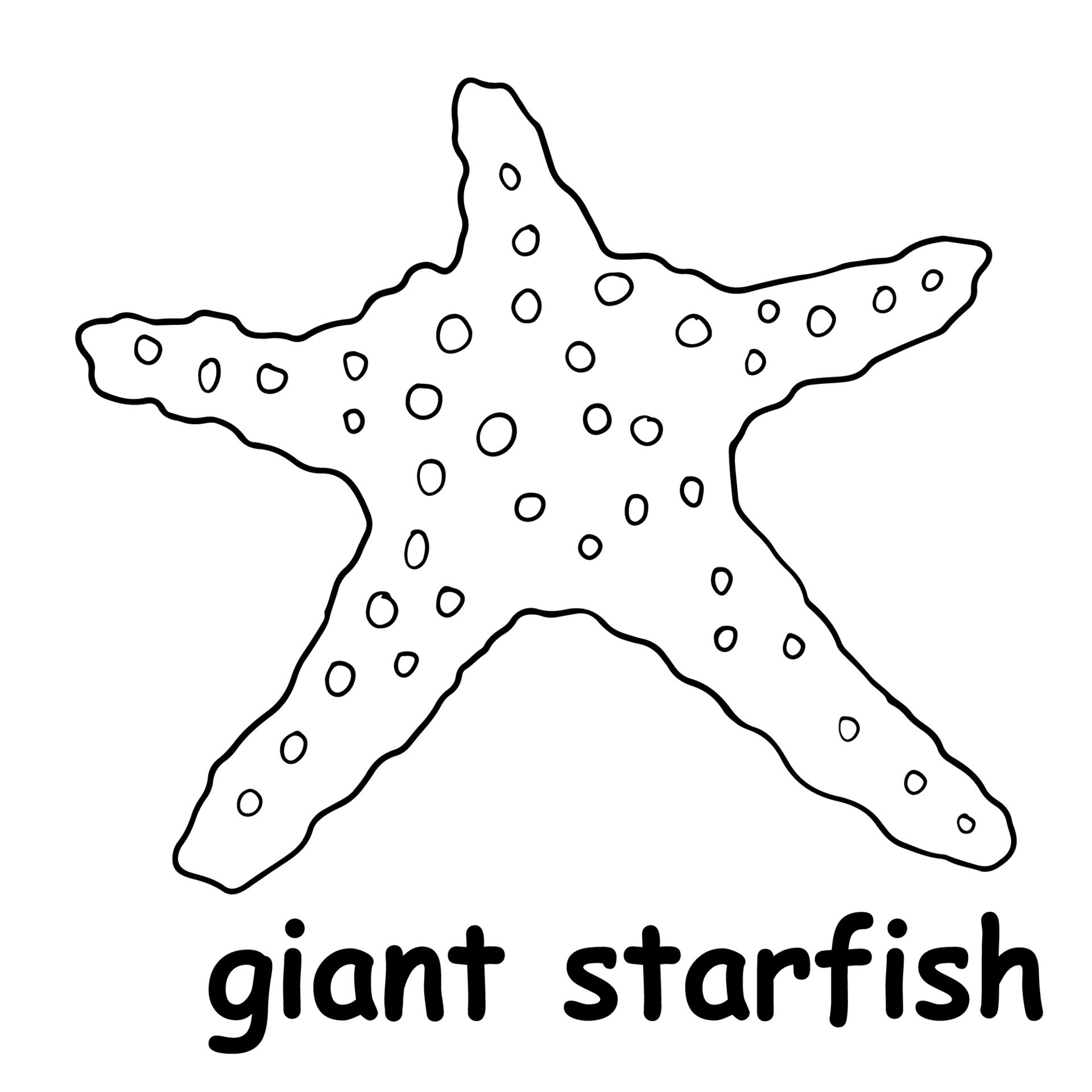 giant starfish