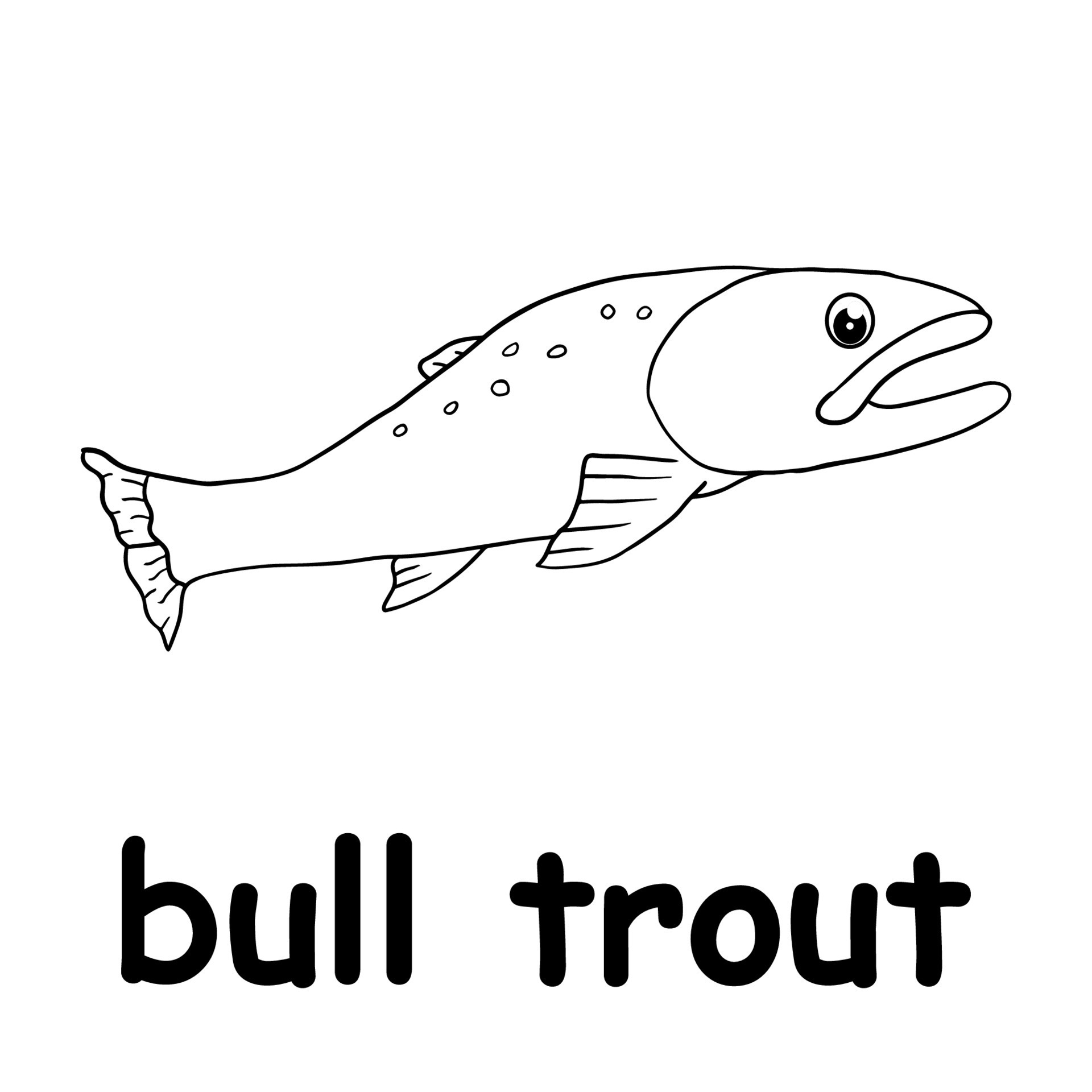 kids line illustration coloring bull trout. animal outline 15630395