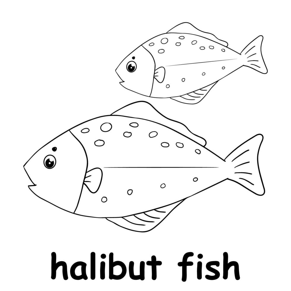 kids line illustration coloring halibut fish. animal outline 15630458