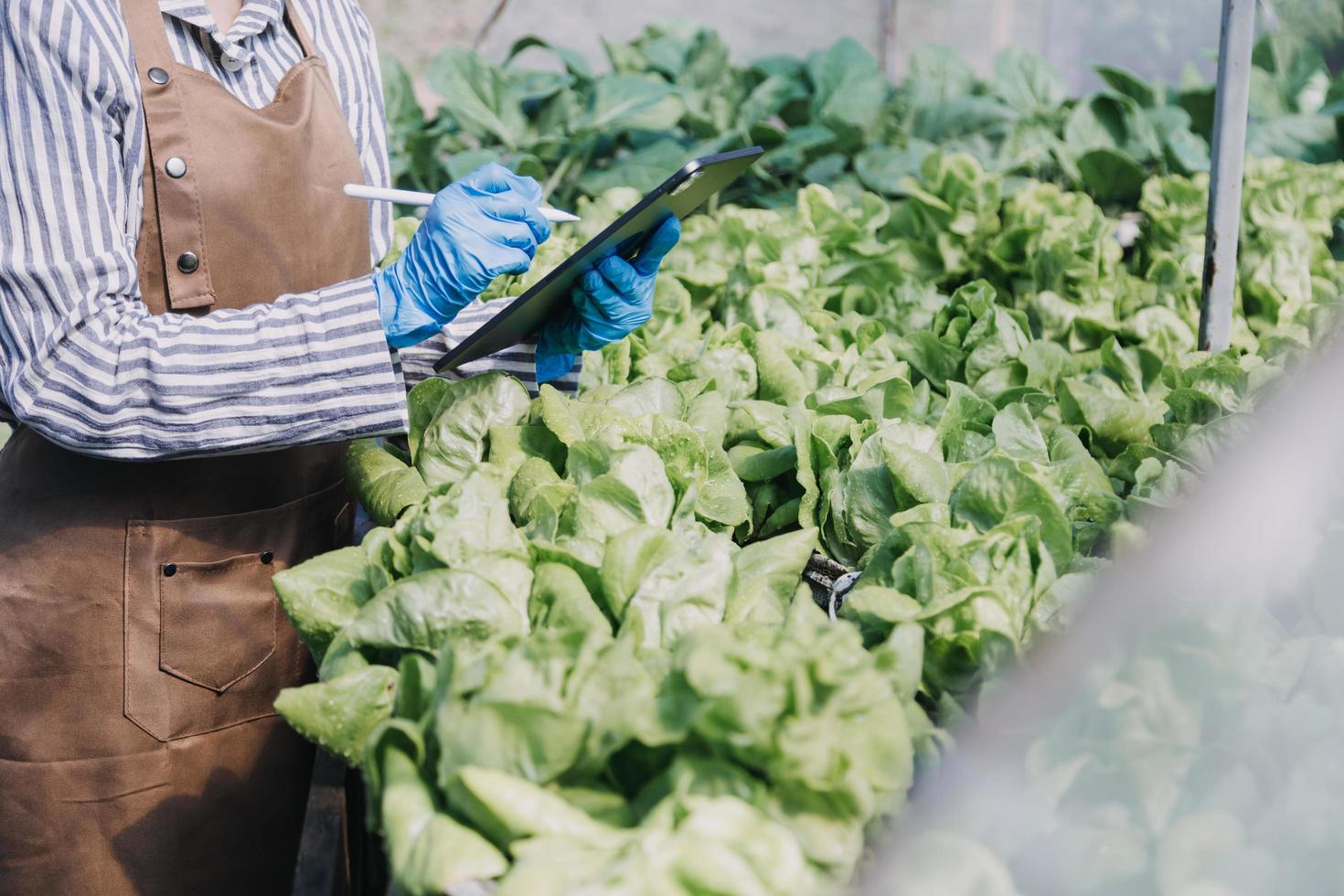 un hombre de negocios futurista cultiva verduras y cultivos usando tecnología moderna de inteligencia artificial usando teléfonos móviles, sensores de temperatura y humedad, rastreo de agua, control climático, íconos de datos holográficos. foto