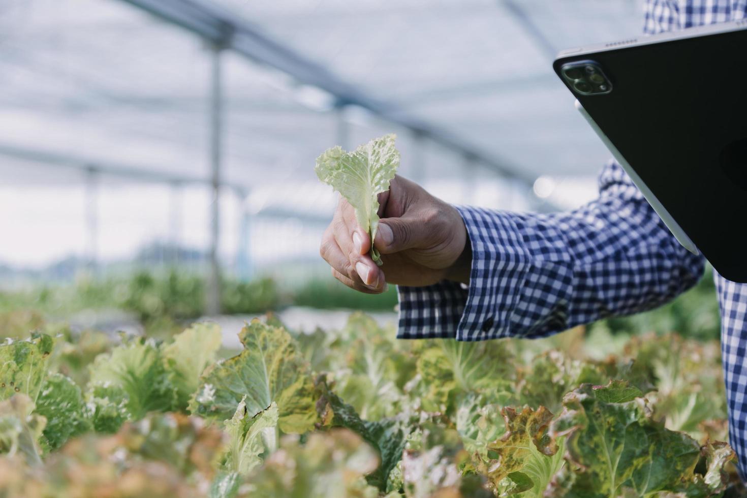 Futuristic businessman farms vegetables and crops using modern AI technology using mobile phones, temperature and humidity sensors, water tracking, climate control, holographic data data icons. photo