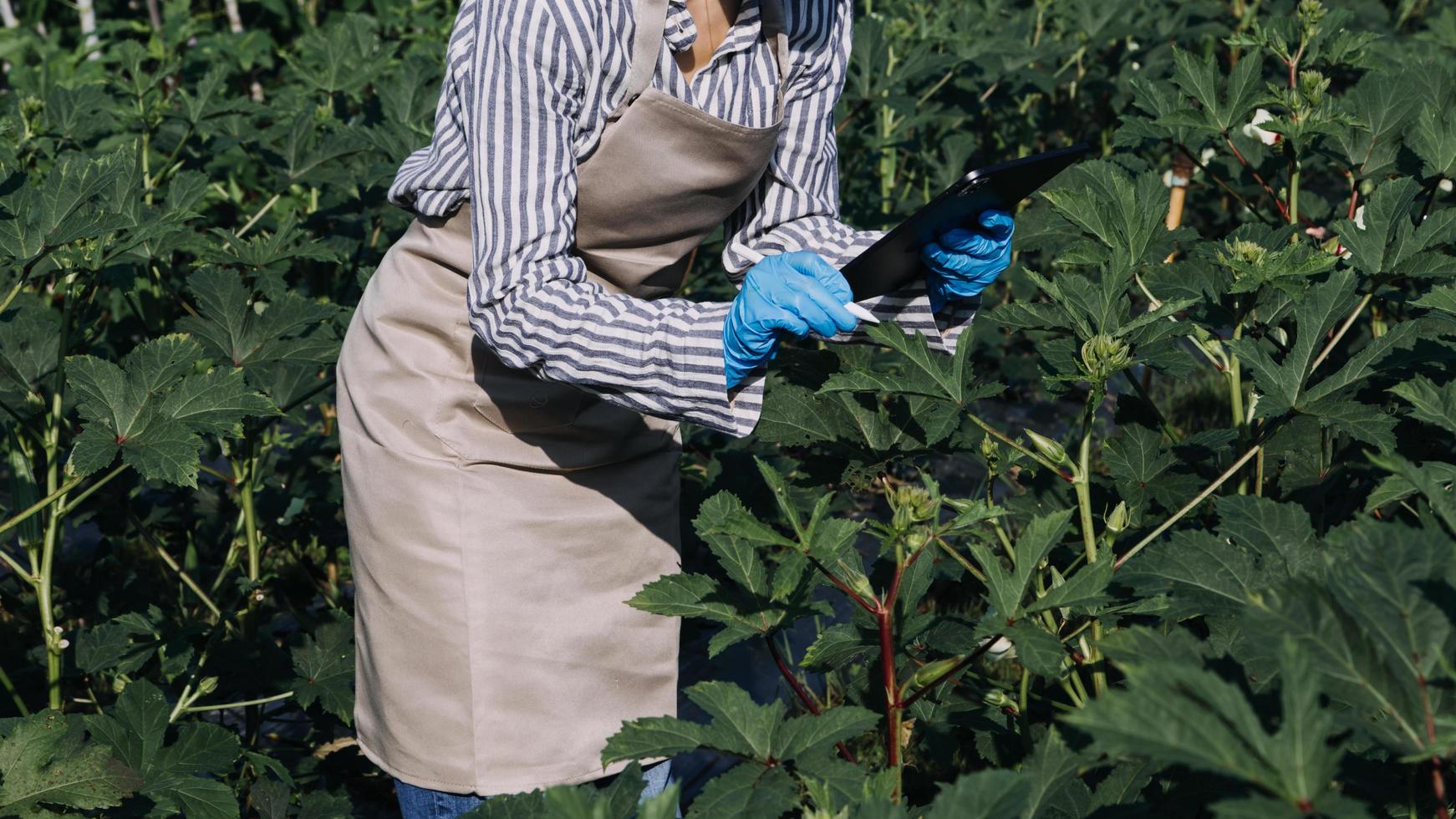 Futuristic businessman farms vegetables and crops using modern AI technology using mobile phones, temperature and humidity sensors, water tracking, climate control, holographic data data icons. photo