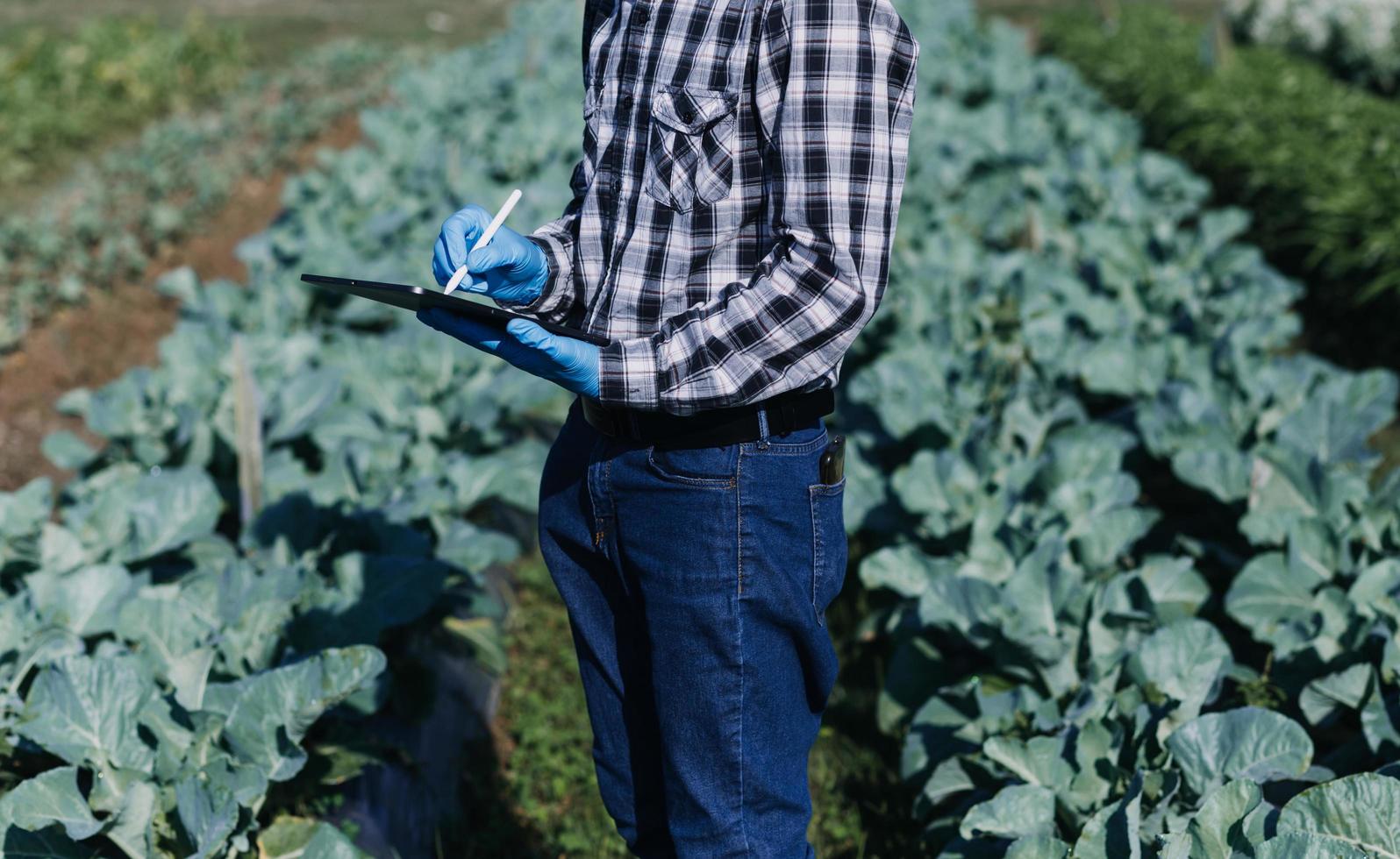 un hombre de negocios futurista cultiva verduras y cultivos usando tecnología moderna de inteligencia artificial usando teléfonos móviles, sensores de temperatura y humedad, rastreo de agua, control climático, íconos de datos holográficos. foto