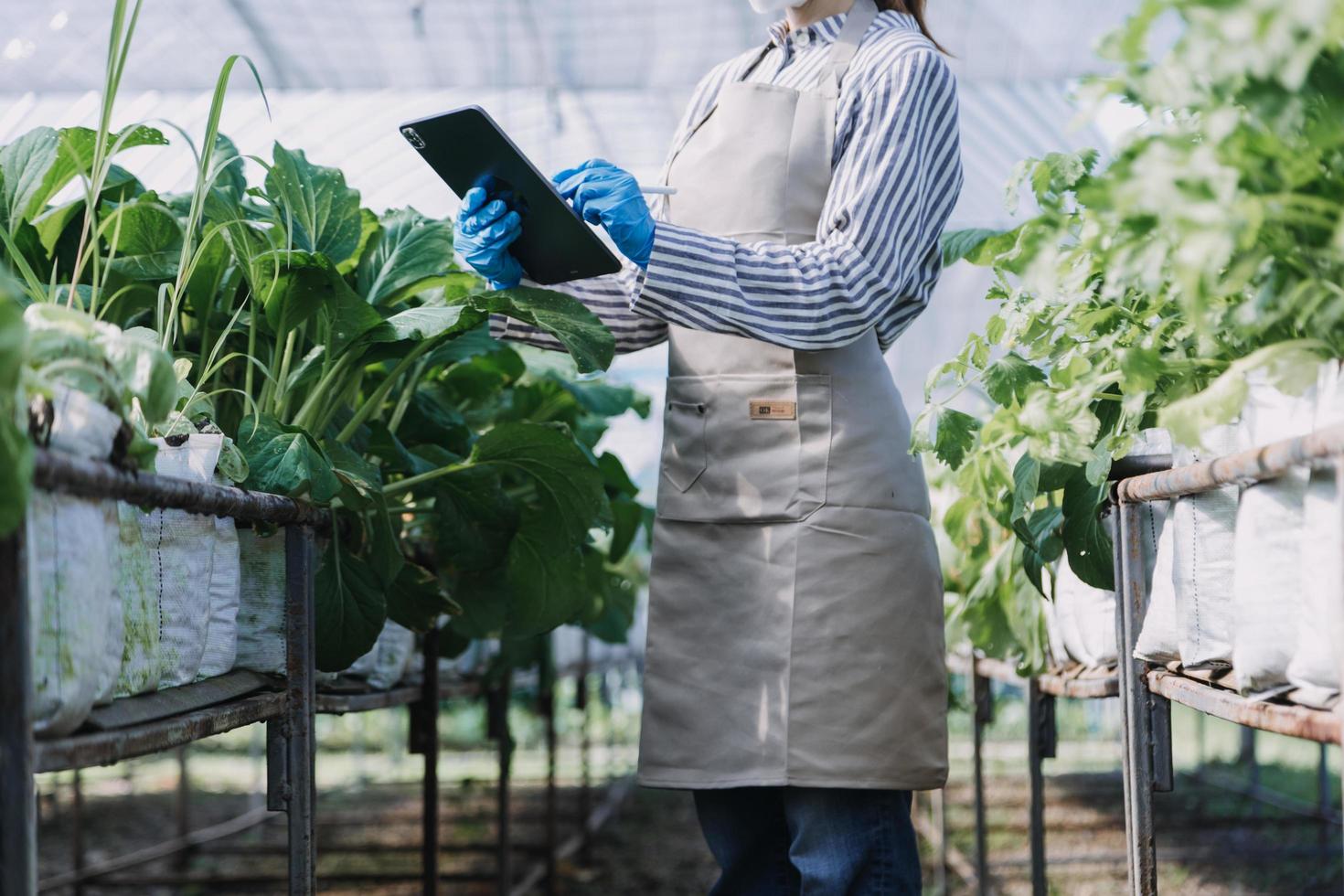 Futuristic businessman farms vegetables and crops using modern AI technology using mobile phones, temperature and humidity sensors, water tracking, climate control, holographic data data icons. photo