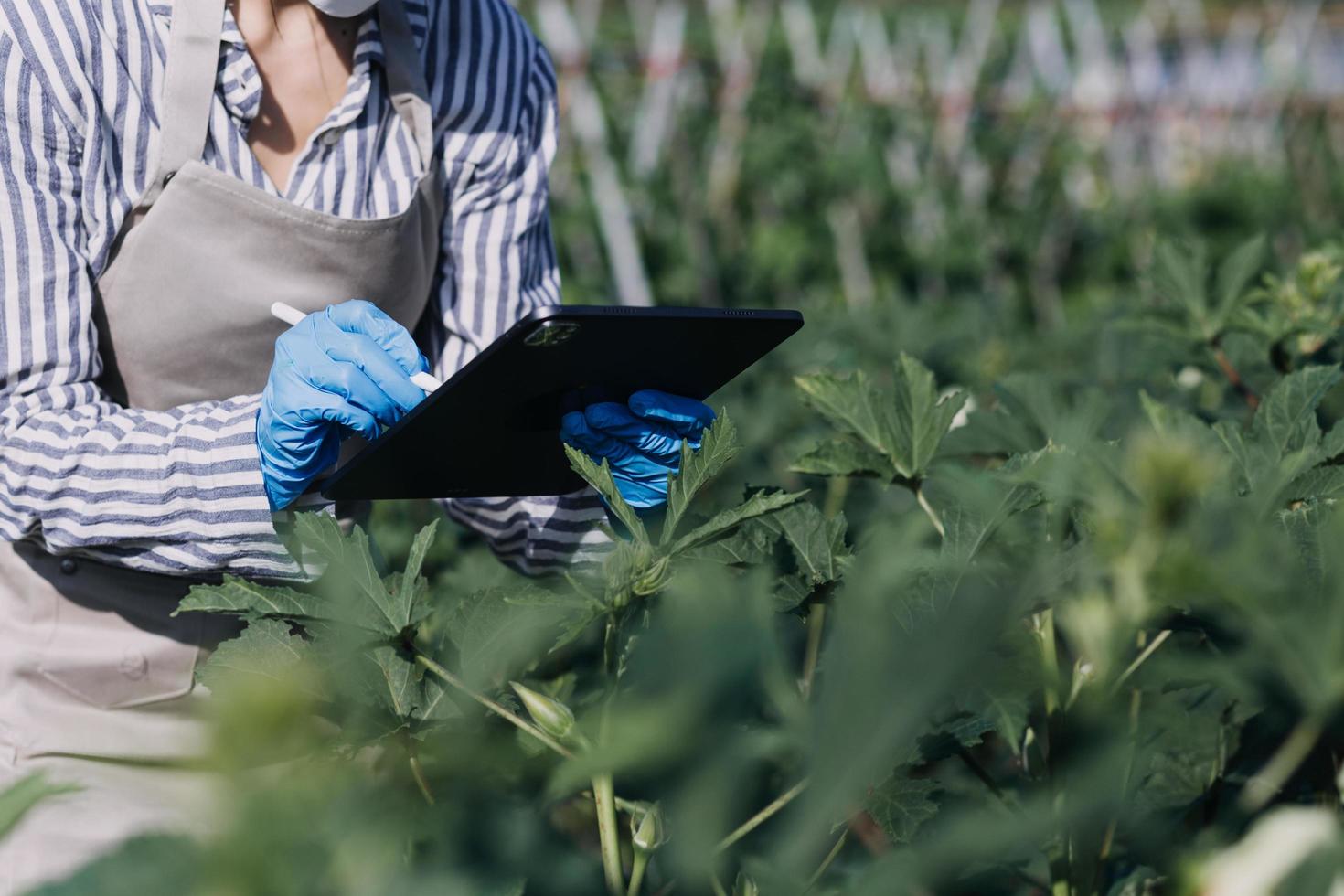 Futuristic businessman farms vegetables and crops using modern AI technology using mobile phones, temperature and humidity sensors, water tracking, climate control, holographic data data icons. photo
