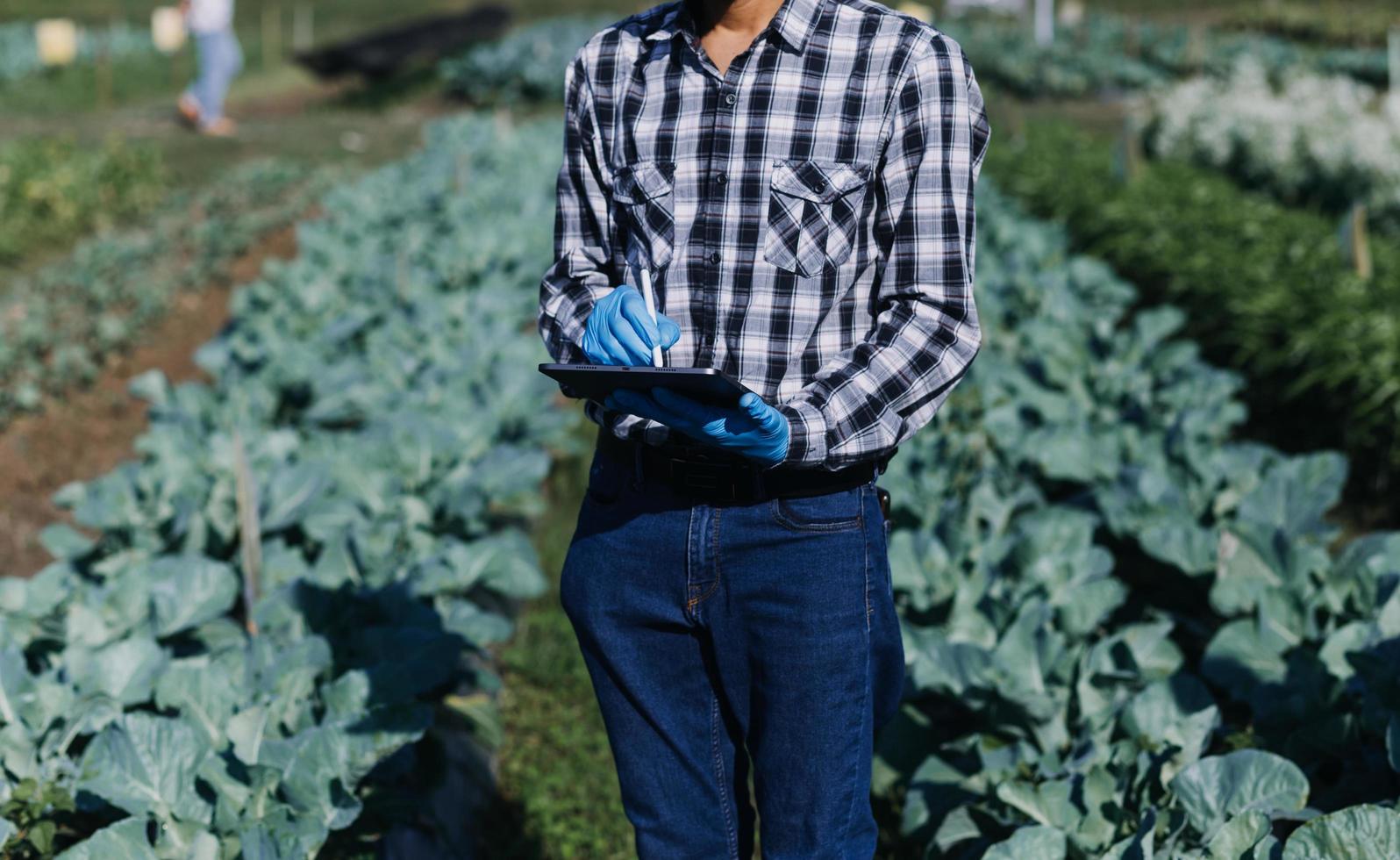 un hombre de negocios futurista cultiva verduras y cultivos usando tecnología moderna de inteligencia artificial usando teléfonos móviles, sensores de temperatura y humedad, rastreo de agua, control climático, íconos de datos holográficos. foto