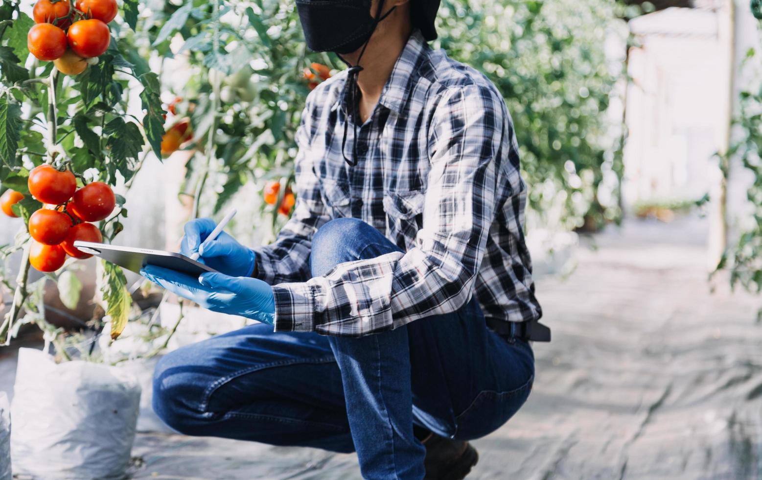 Futuristic businessman farms vegetables and crops using modern AI technology using mobile phones, temperature and humidity sensors, water tracking, climate control, holographic data data icons. photo