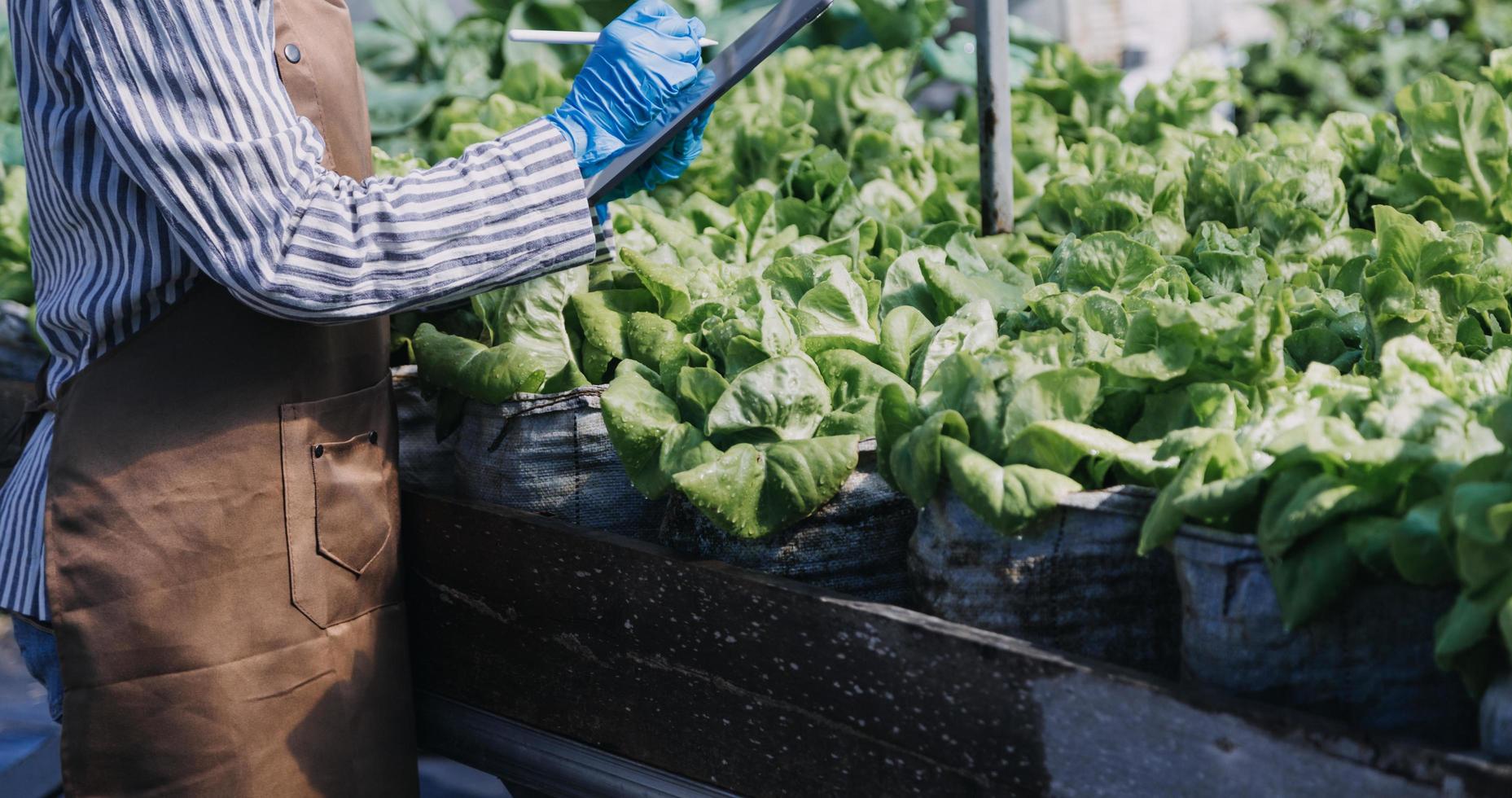 Futuristic businessman farms vegetables and crops using modern AI technology using mobile phones, temperature and humidity sensors, water tracking, climate control, holographic data data icons. photo
