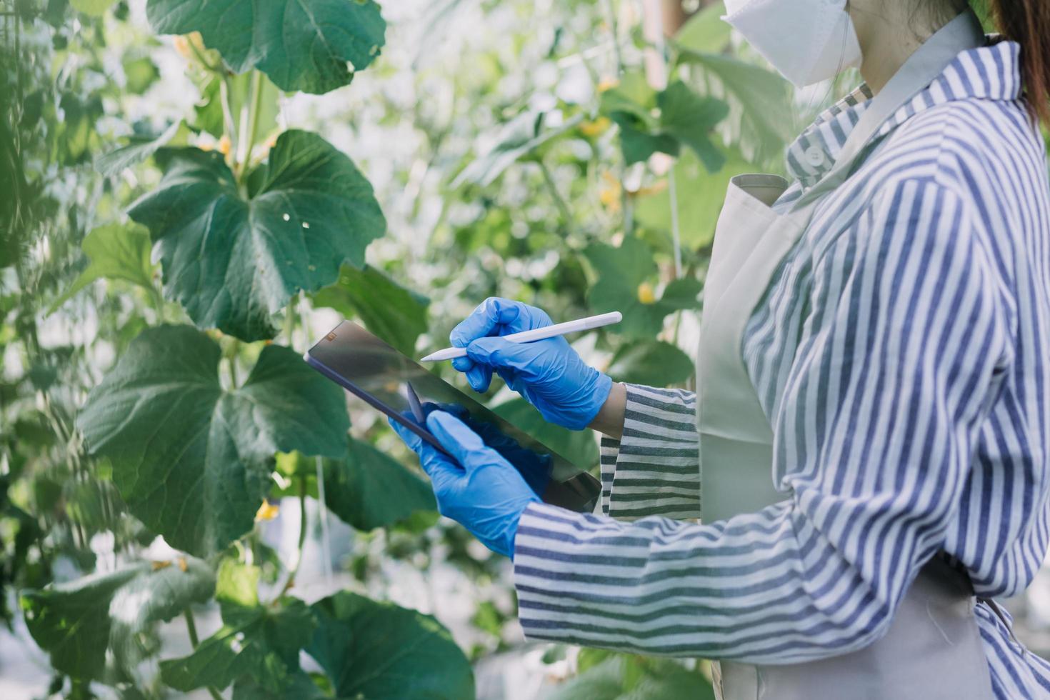 Futuristic businessman farms vegetables and crops using modern AI technology using mobile phones, temperature and humidity sensors, water tracking, climate control, holographic data data icons. photo