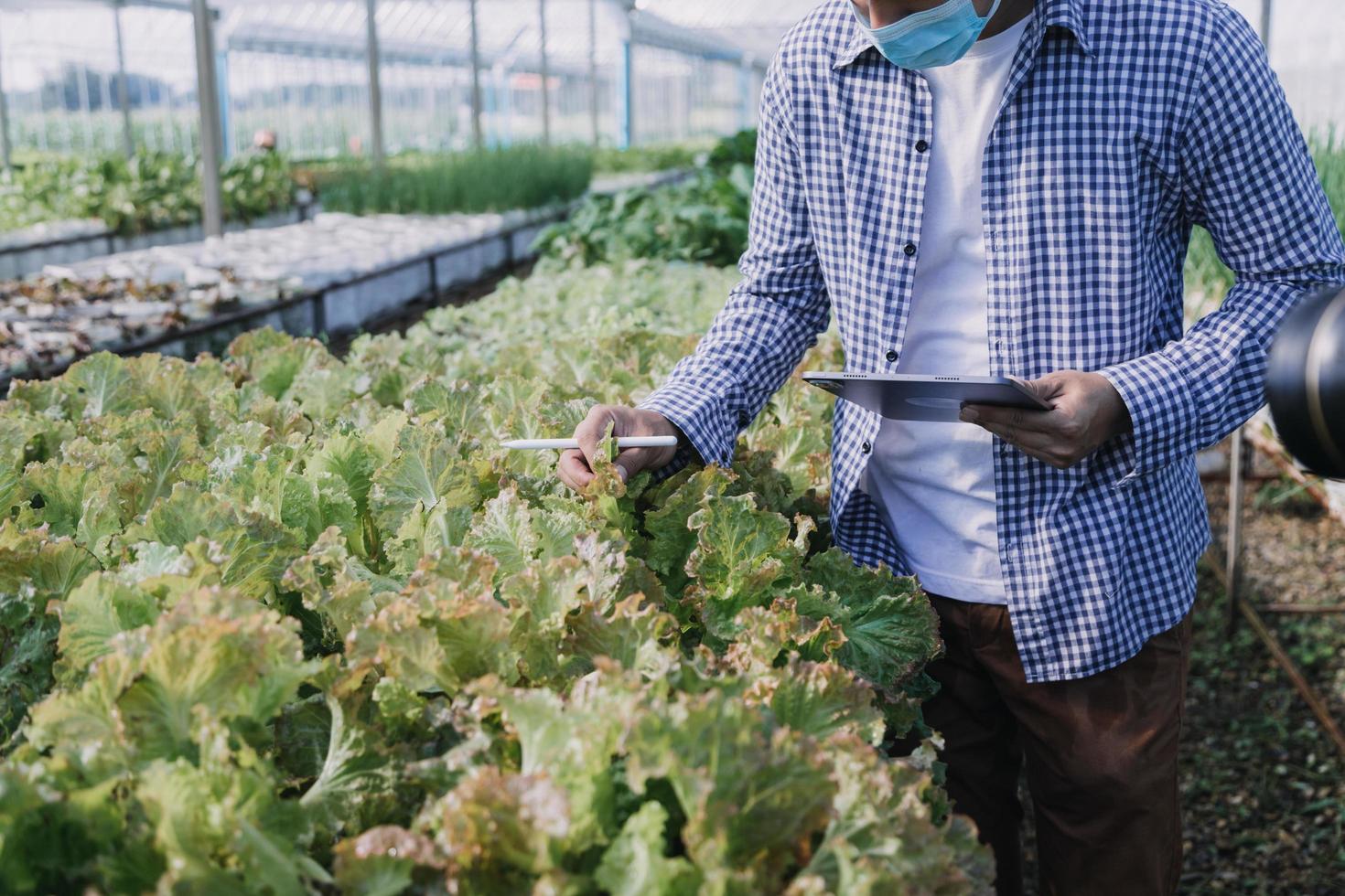 un hombre de negocios futurista cultiva verduras y cultivos usando tecnología moderna de inteligencia artificial usando teléfonos móviles, sensores de temperatura y humedad, rastreo de agua, control climático, íconos de datos holográficos. foto