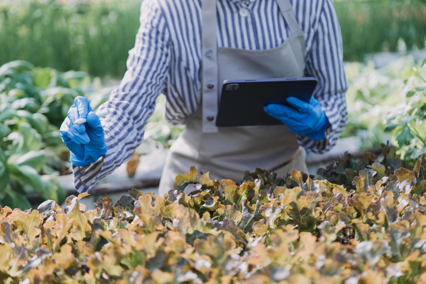 Futuristic businessman farms vegetables and crops using modern AI technology using mobile phones, temperature and humidity sensors, water tracking, climate control, holographic data data icons. photo