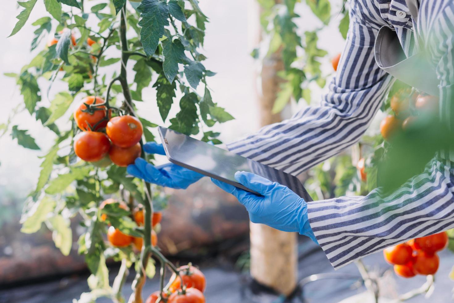 Futuristic businessman farms vegetables and crops using modern AI technology using mobile phones, temperature and humidity sensors, water tracking, climate control, holographic data data icons. photo