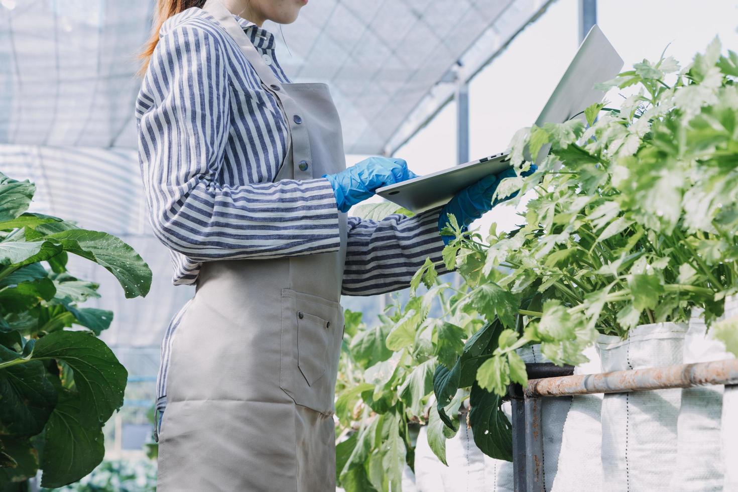 Futuristic businessman farms vegetables and crops using modern AI technology using mobile phones, temperature and humidity sensors, water tracking, climate control, holographic data data icons. photo
