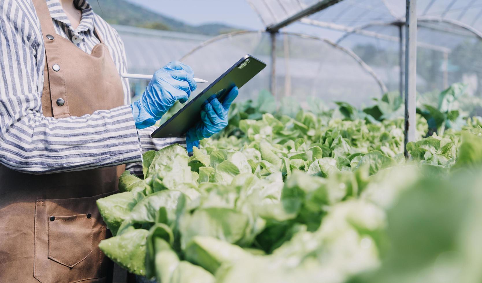 Futuristic businessman farms vegetables and crops using modern AI technology using mobile phones, temperature and humidity sensors, water tracking, climate control, holographic data data icons. photo