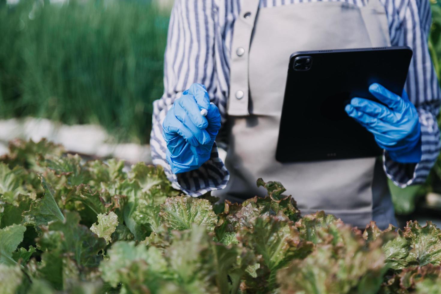 un hombre de negocios futurista cultiva verduras y cultivos usando tecnología moderna de inteligencia artificial usando teléfonos móviles, sensores de temperatura y humedad, rastreo de agua, control climático, íconos de datos holográficos. foto