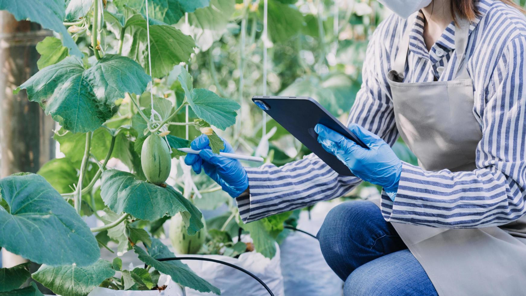 Futuristic businessman farms vegetables and crops using modern AI technology using mobile phones, temperature and humidity sensors, water tracking, climate control, holographic data data icons. photo