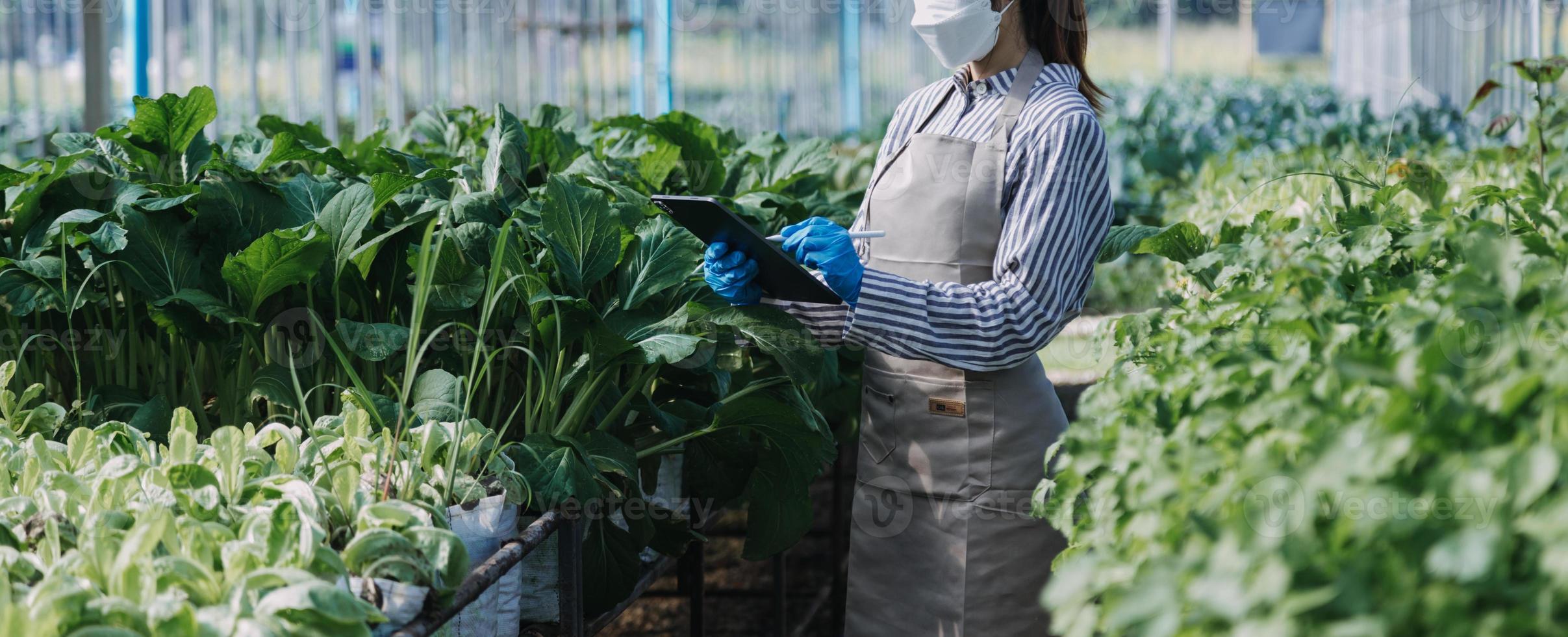 Futuristic businessman farms vegetables and crops using modern AI technology using mobile phones, temperature and humidity sensors, water tracking, climate control, holographic data data icons. photo