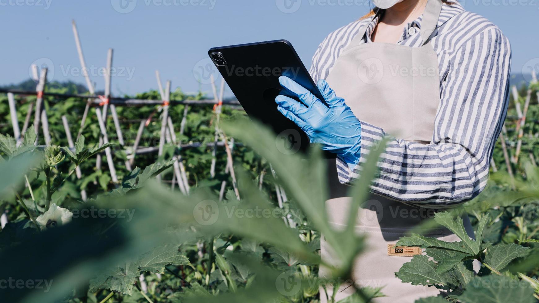 Futuristic businessman farms vegetables and crops using modern AI technology using mobile phones, temperature and humidity sensors, water tracking, climate control, holographic data data icons. photo