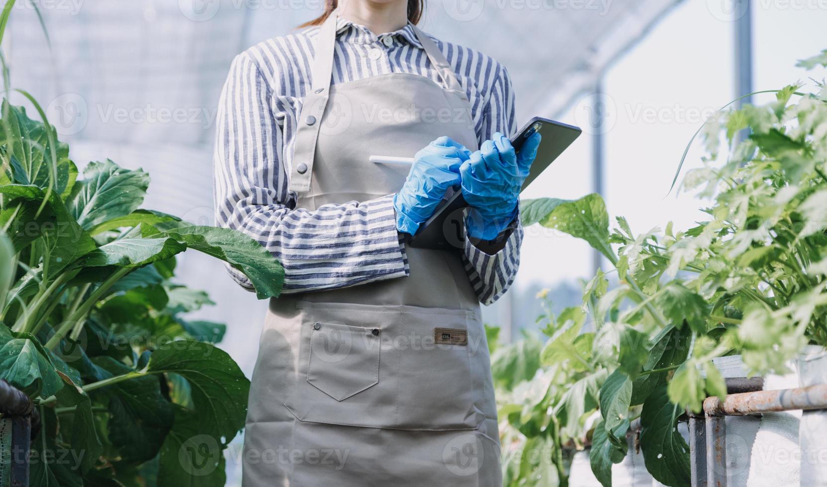 Futuristic businessman farms vegetables and crops using modern AI technology using mobile phones, temperature and humidity sensors, water tracking, climate control, holographic data data icons. photo