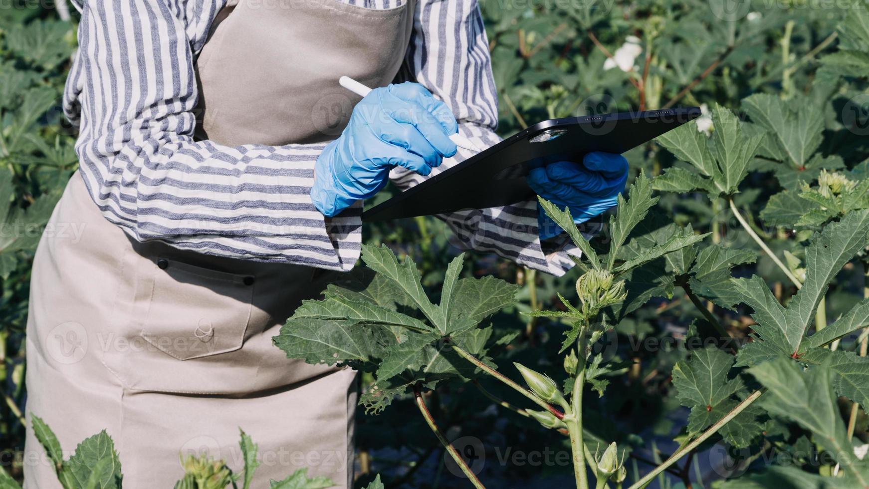 Futuristic businessman farms vegetables and crops using modern AI technology using mobile phones, temperature and humidity sensors, water tracking, climate control, holographic data data icons. photo