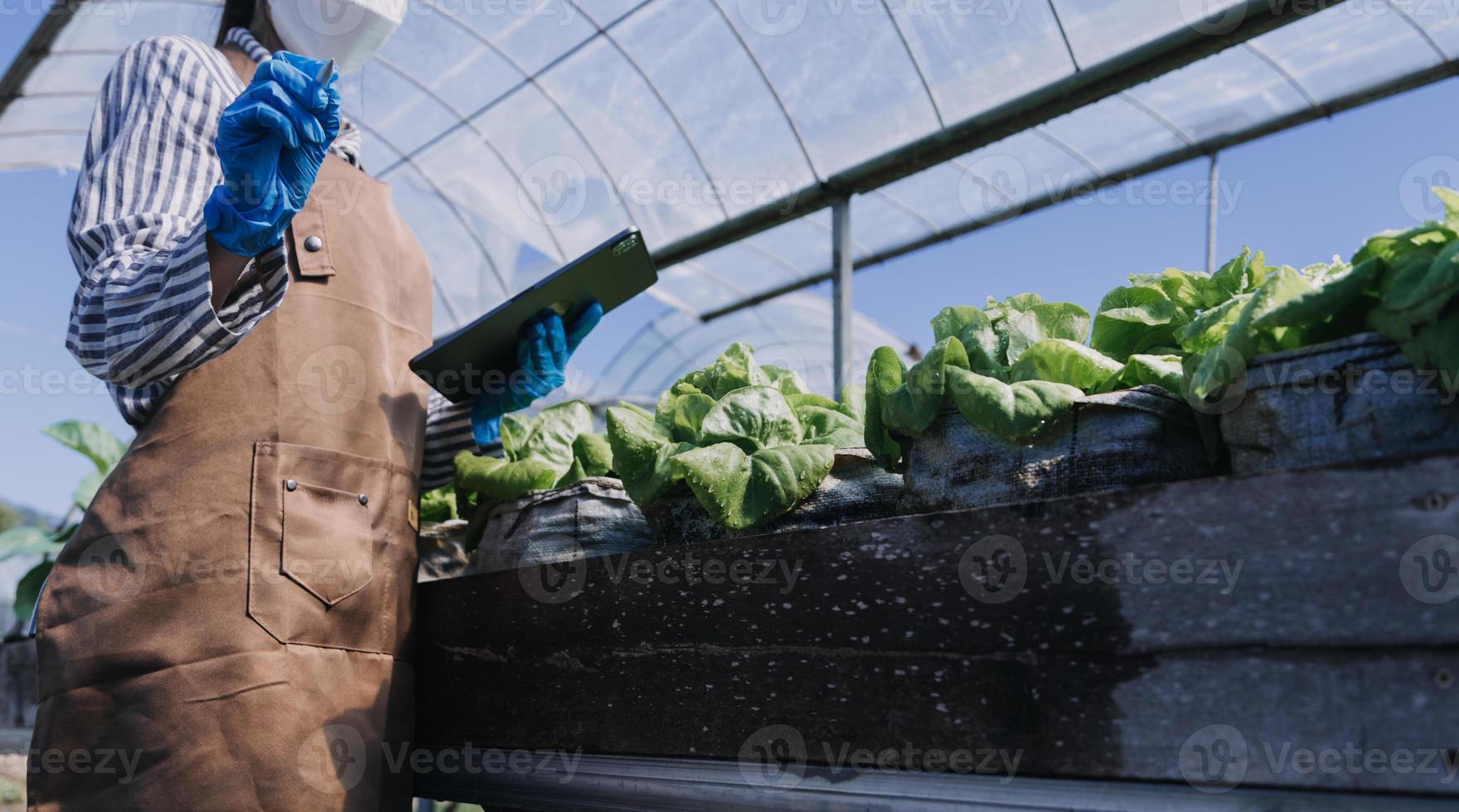 Futuristic businessman farms vegetables and crops using modern AI technology using mobile phones, temperature and humidity sensors, water tracking, climate control, holographic data data icons. photo