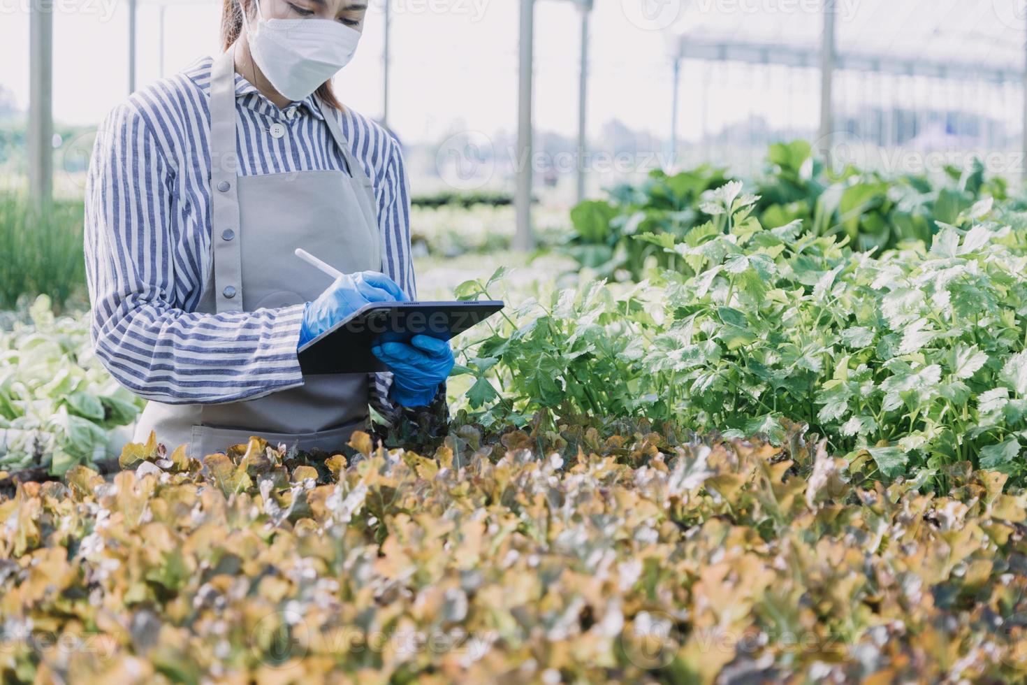 Futuristic businessman farms vegetables and crops using modern AI technology using mobile phones, temperature and humidity sensors, water tracking, climate control, holographic data data icons. photo
