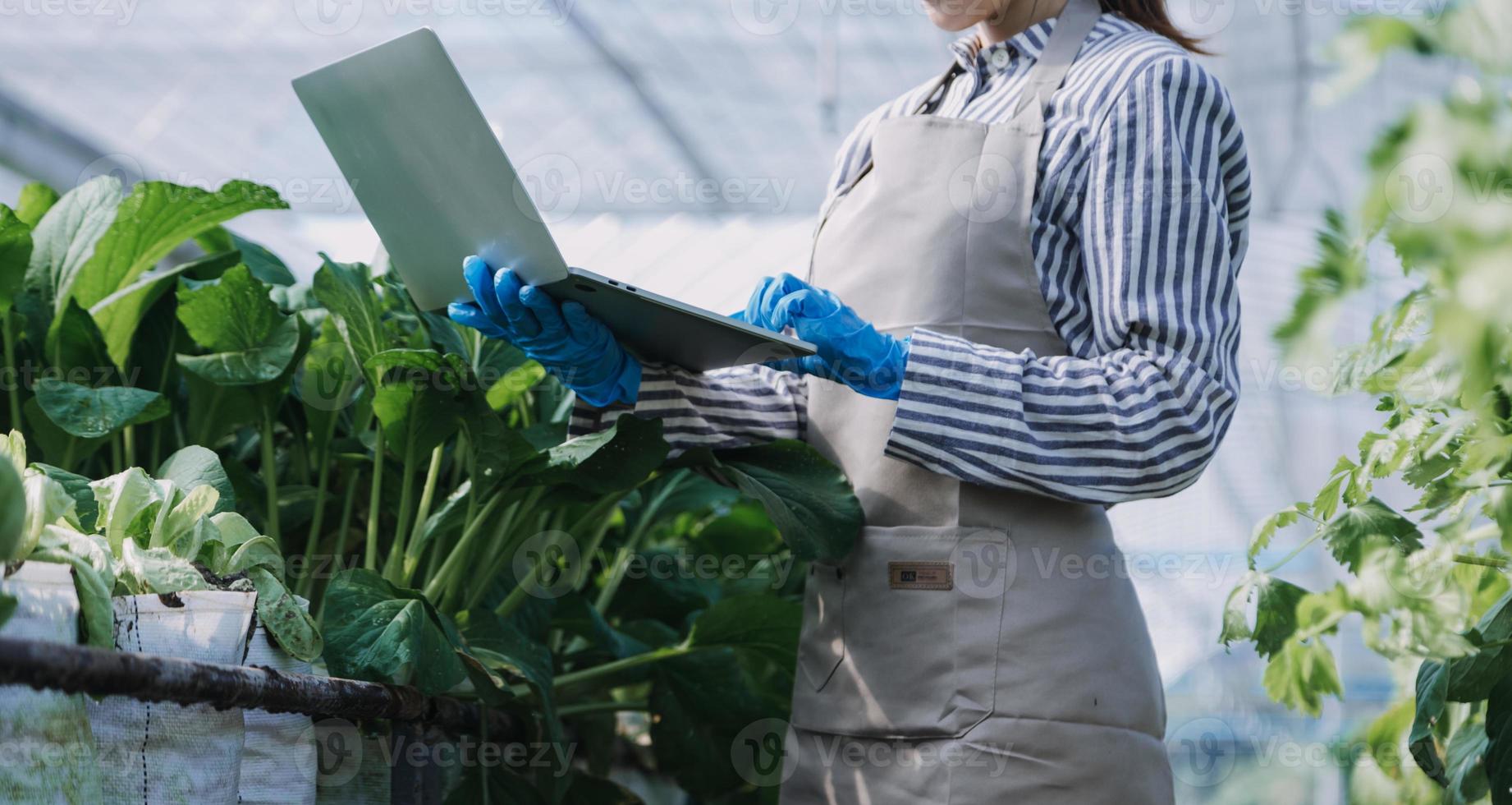 Futuristic businessman farms vegetables and crops using modern AI technology using mobile phones, temperature and humidity sensors, water tracking, climate control, holographic data data icons. photo