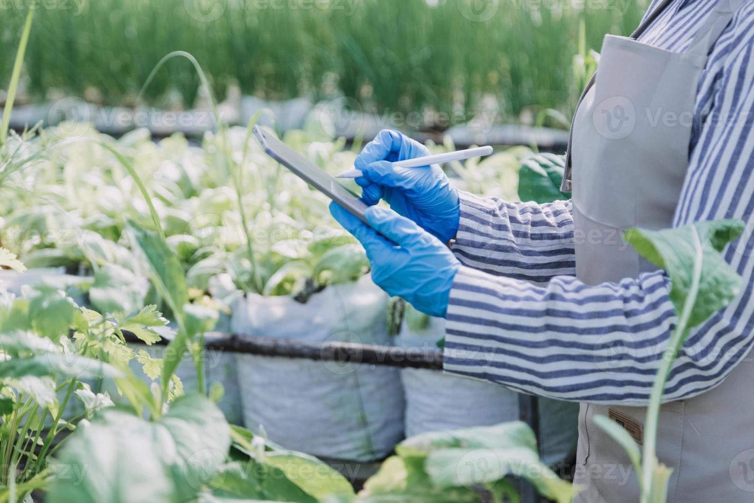 Futuristic businessman farms vegetables and crops using modern AI technology using mobile phones, temperature and humidity sensors, water tracking, climate control, holographic data data icons. photo