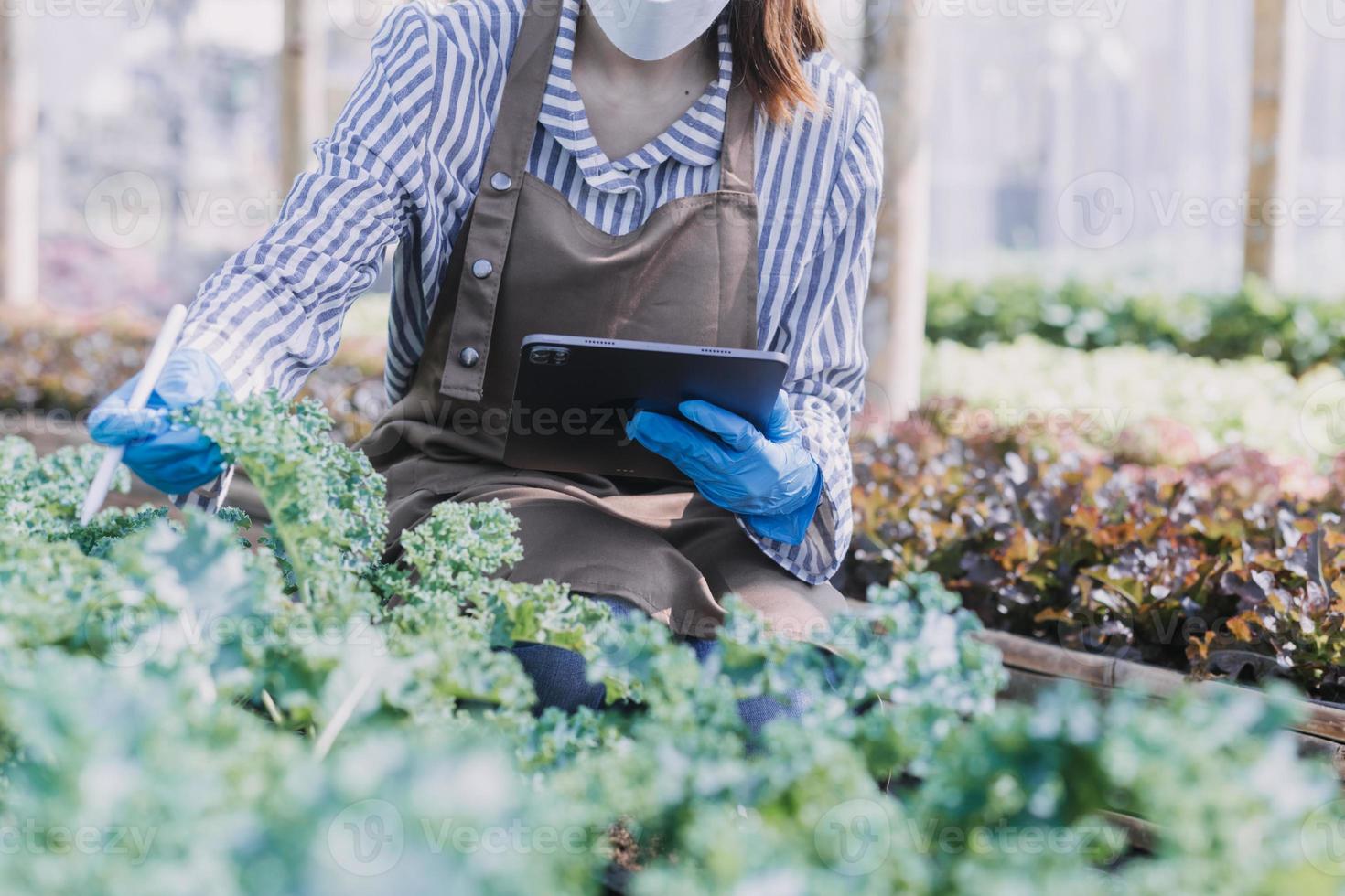 Futuristic businessman farms vegetables and crops using modern AI technology using mobile phones, temperature and humidity sensors, water tracking, climate control, holographic data data icons. photo