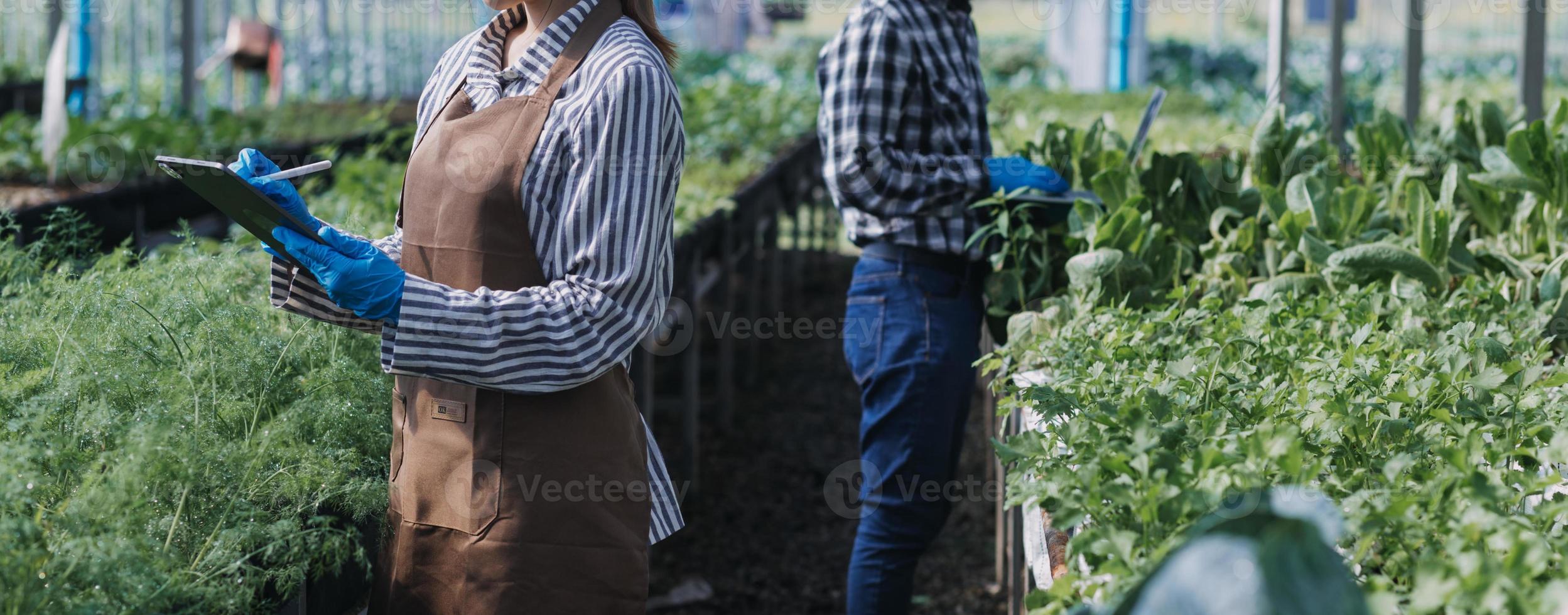 Futuristic businessman farms vegetables and crops using modern AI technology using mobile phones, temperature and humidity sensors, water tracking, climate control, holographic data data icons. photo