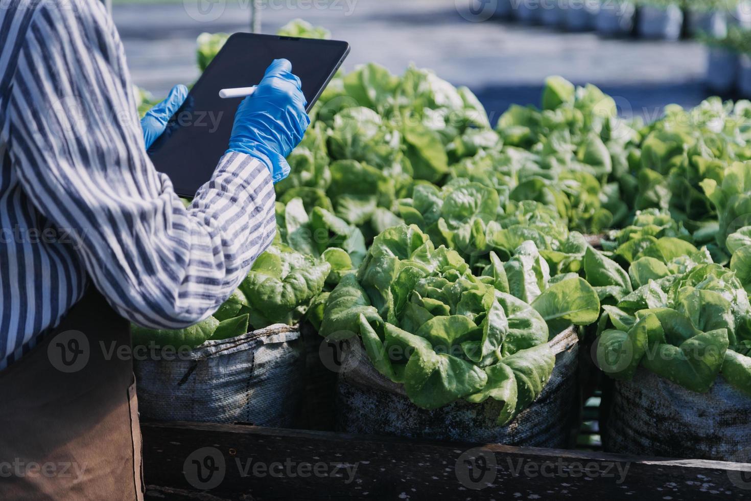 Futuristic businessman farms vegetables and crops using modern AI technology using mobile phones, temperature and humidity sensors, water tracking, climate control, holographic data data icons. photo