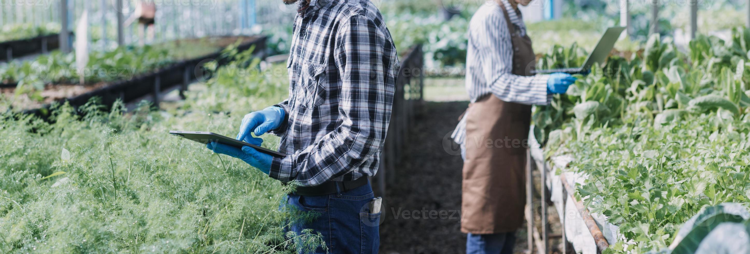 Futuristic businessman farms vegetables and crops using modern AI technology using mobile phones, temperature and humidity sensors, water tracking, climate control, holographic data data icons. photo