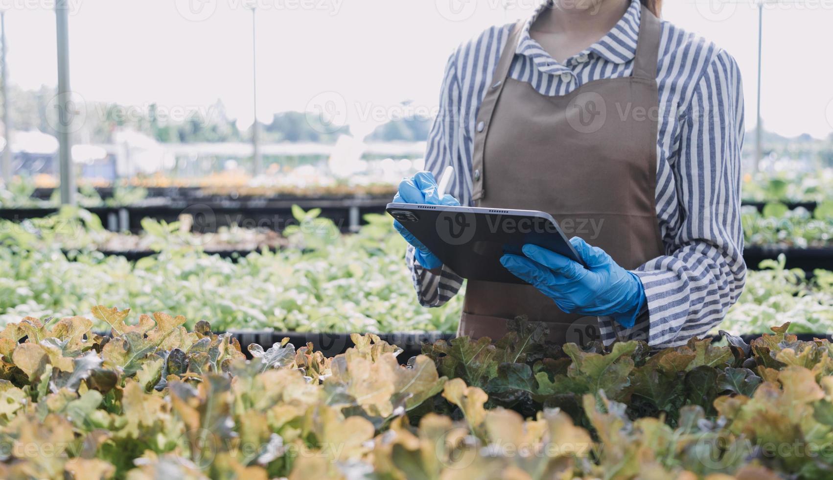 Futuristic businessman farms vegetables and crops using modern AI technology using mobile phones, temperature and humidity sensors, water tracking, climate control, holographic data data icons. photo