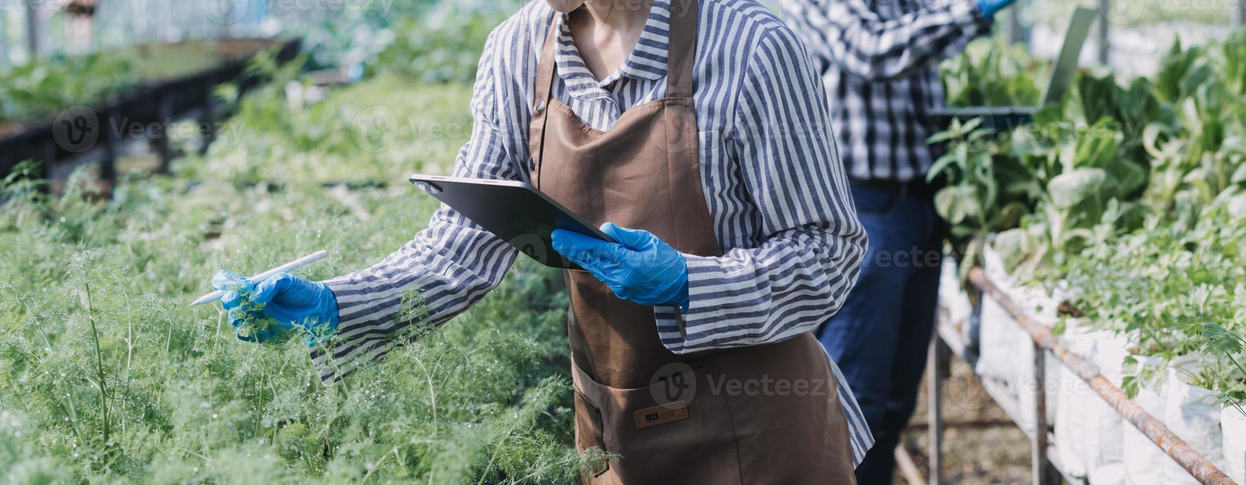 Futuristic businessman farms vegetables and crops using modern AI technology using mobile phones, temperature and humidity sensors, water tracking, climate control, holographic data data icons. photo